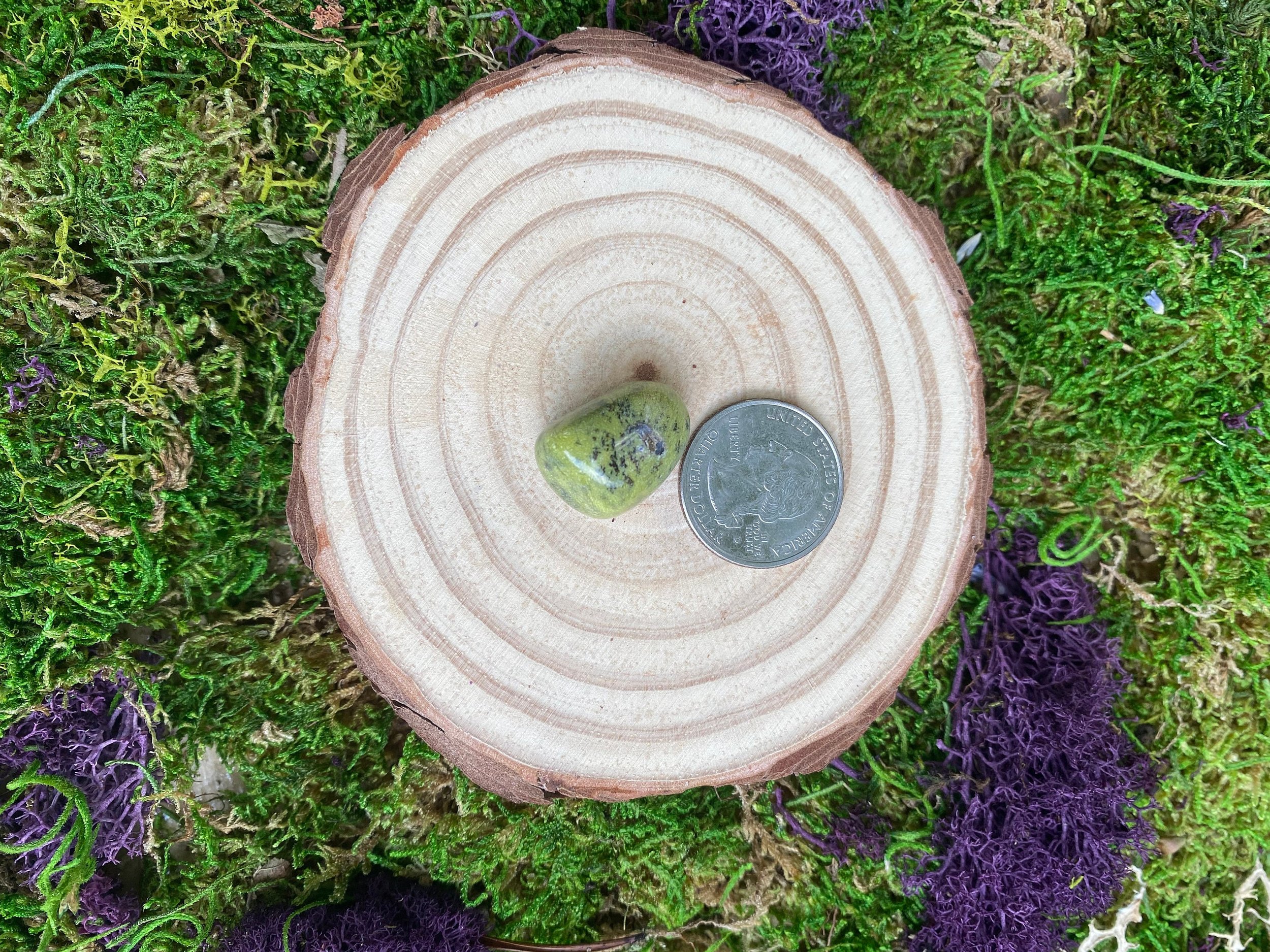 https://i.etsystatic.com/20819021/r/il/65b04f/3319362649/il_fullxfull.3319362649_i94n.jpg