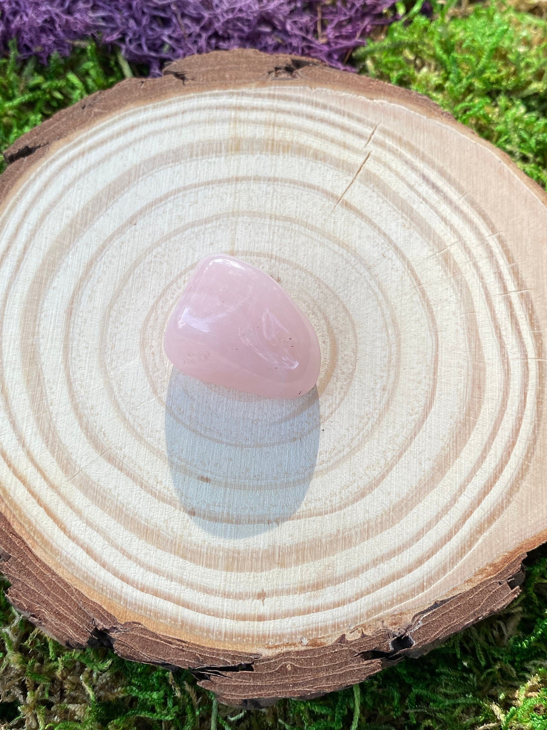 https://i.etsystatic.com/20819021/r/il/cb0983/3367441532/il_fullxfull.3367441532_bys7.jpg