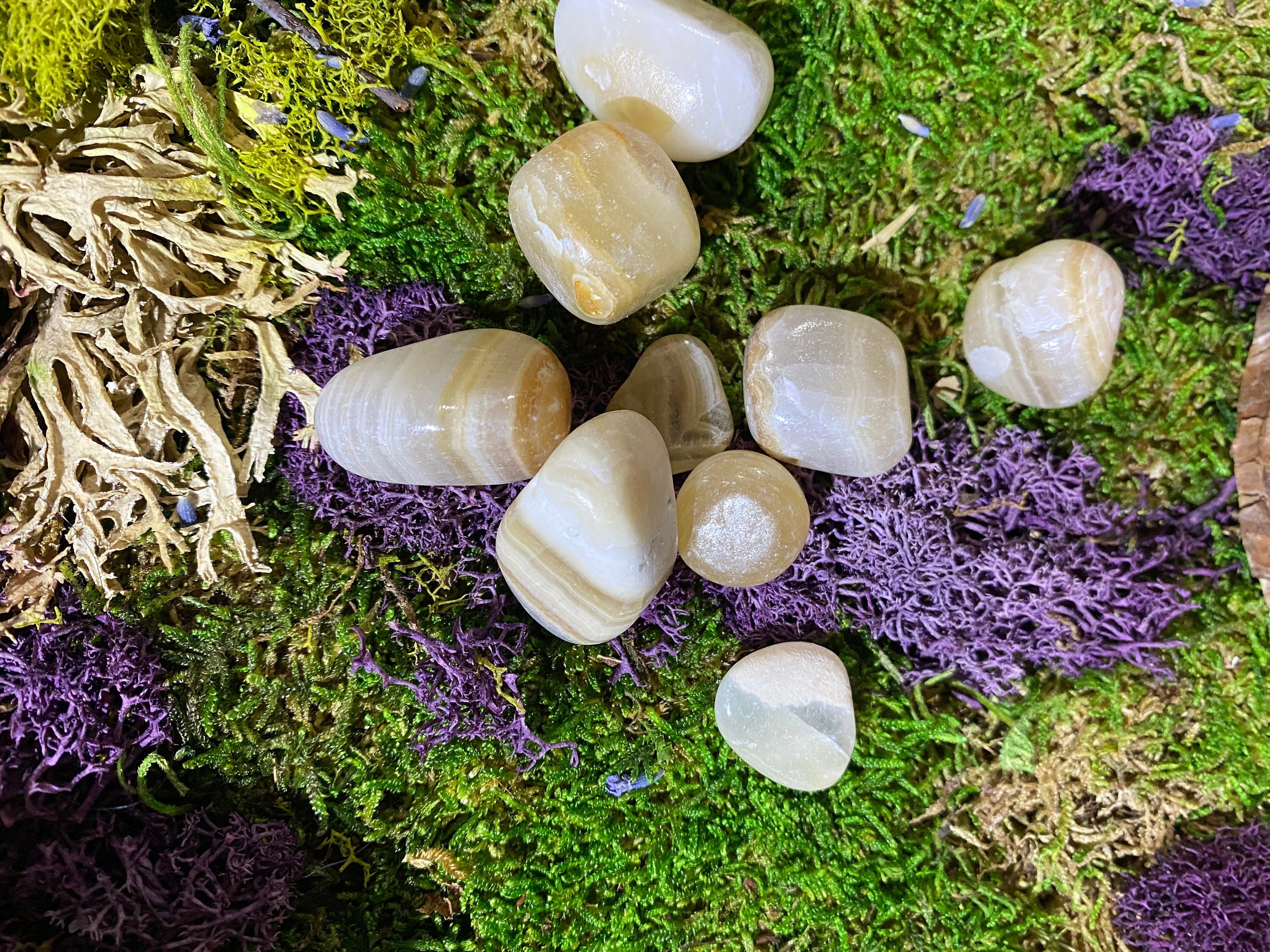 https://i.etsystatic.com/20819021/r/il/a68d0b/4027194672/il_fullxfull.4027194672_7ia4.jpg