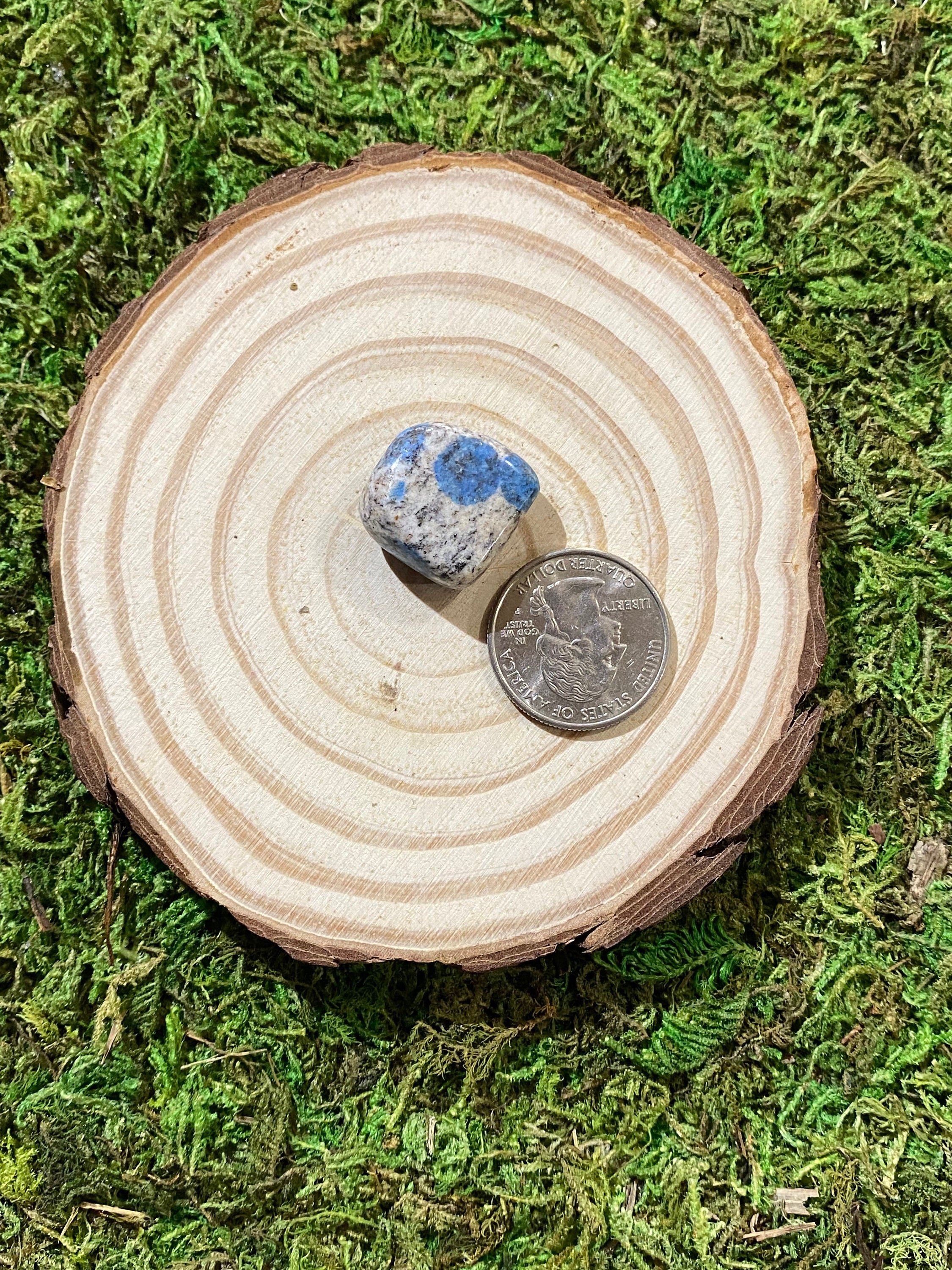 https://i.etsystatic.com/20819021/r/il/bbd58d/3473683305/il_fullxfull.3473683305_icsc.jpg