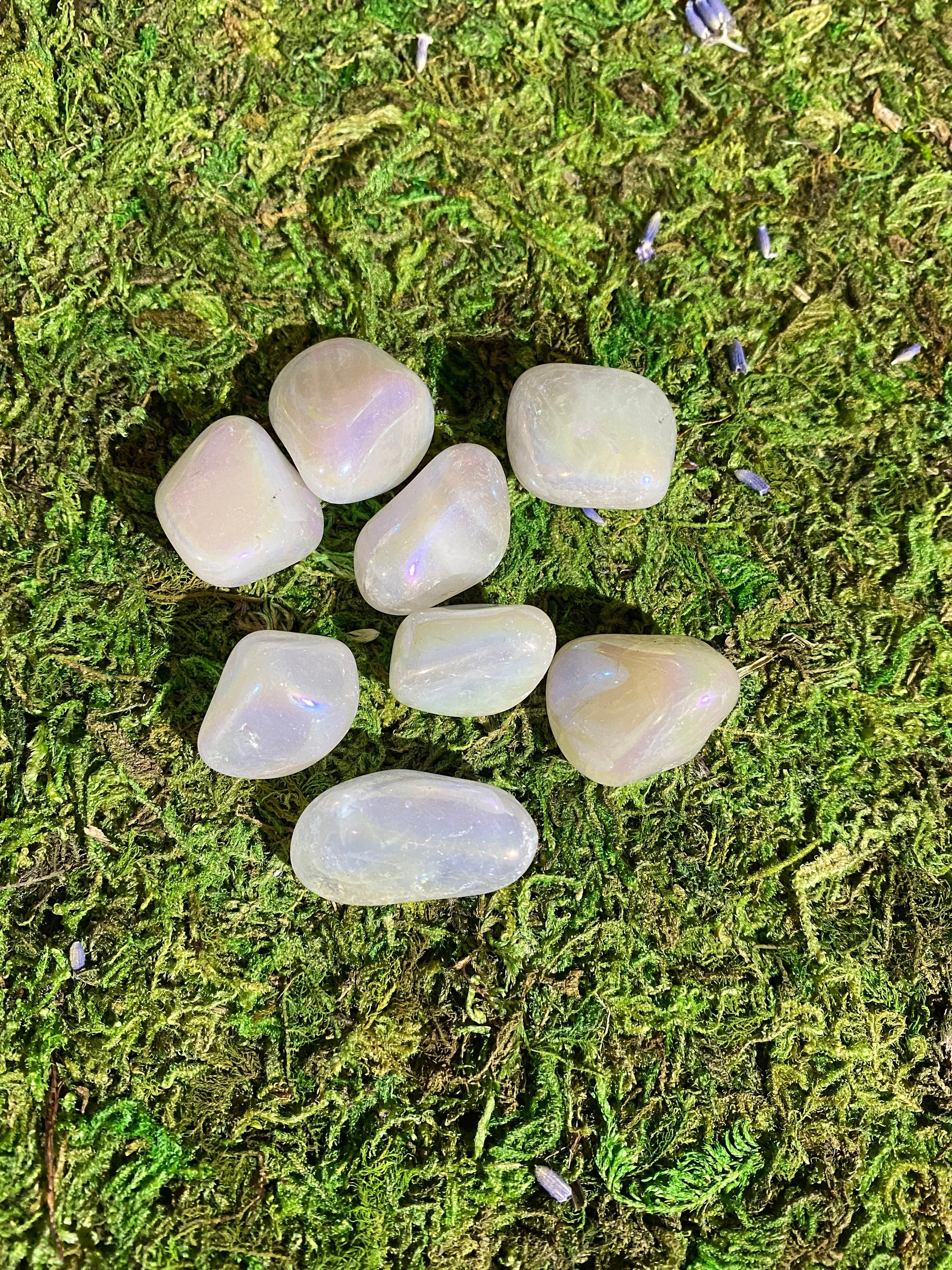 https://i.etsystatic.com/20819021/r/il/8eeb2c/3775606736/il_fullxfull.3775606736_9h7w.jpg