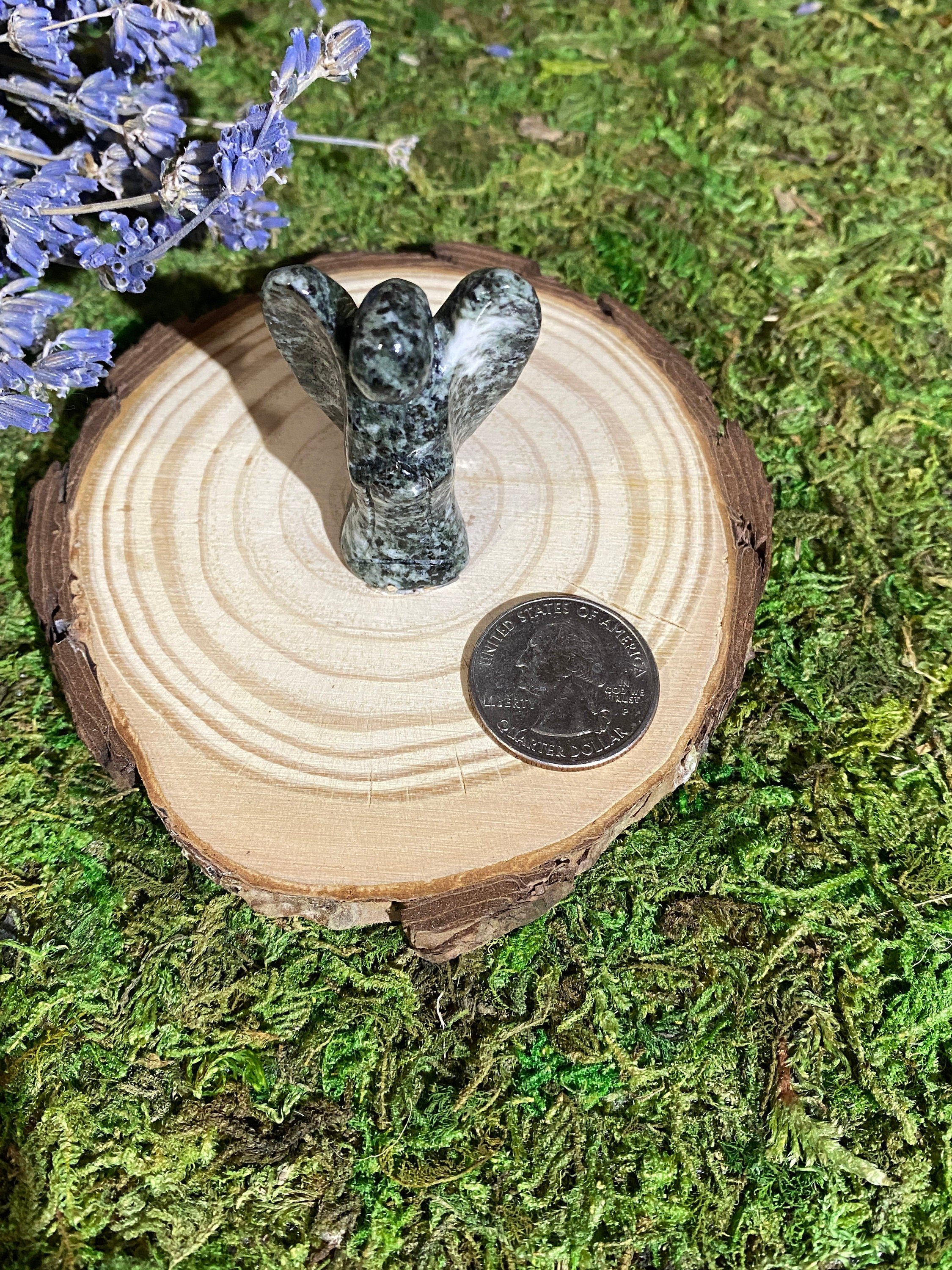https://i.etsystatic.com/20819021/r/il/c0d2da/3669824739/il_fullxfull.3669824739_b6gs.jpg