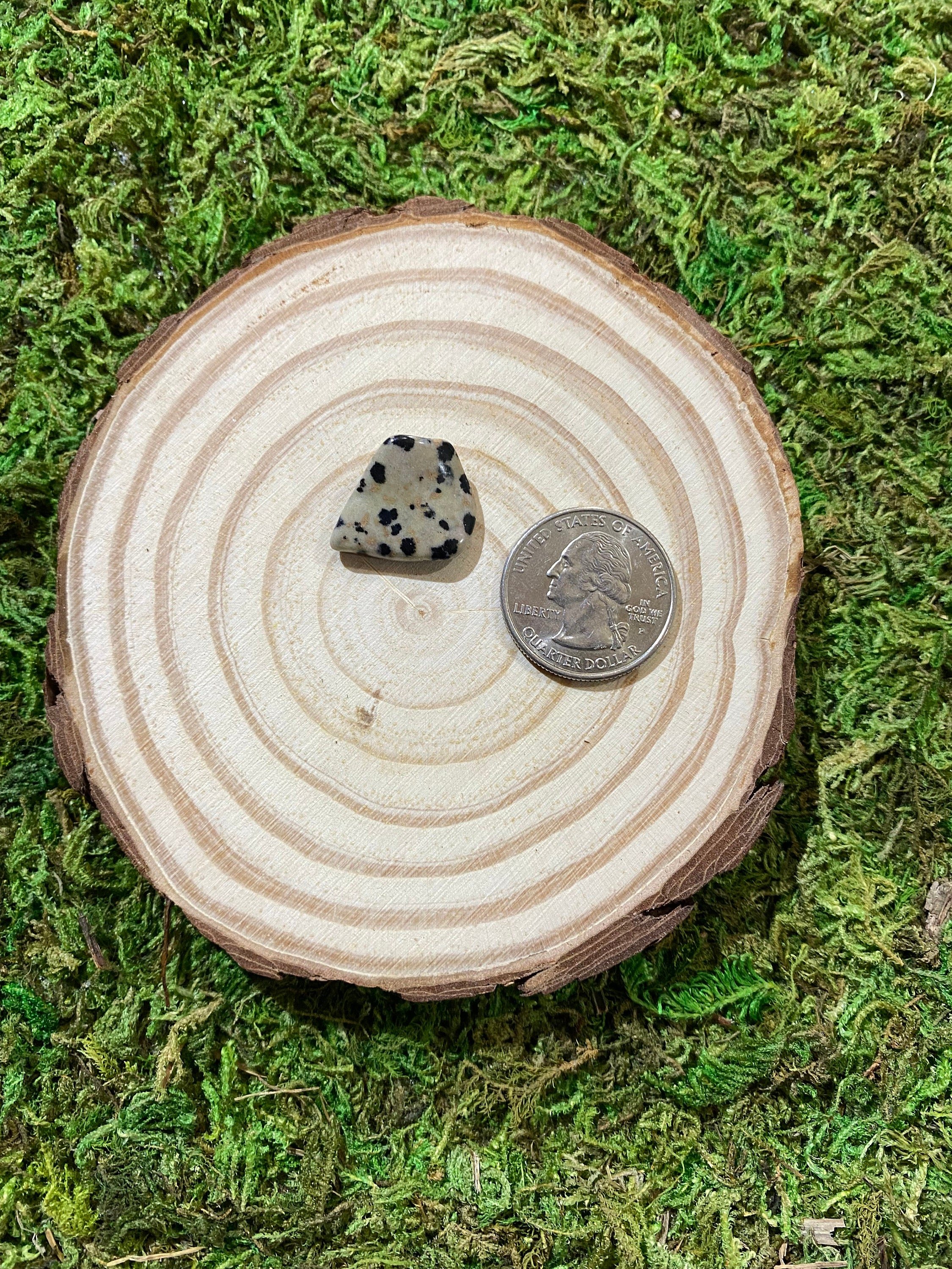 https://i.etsystatic.com/20819021/r/il/d22209/3425474924/il_fullxfull.3425474924_q8n9.jpg