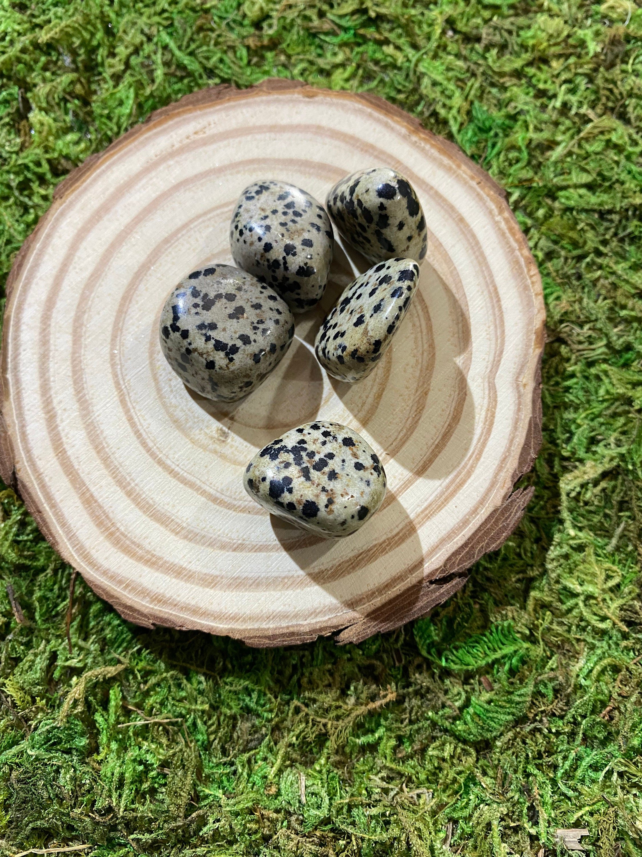 https://i.etsystatic.com/20819021/r/il/c7af75/3425475276/il_fullxfull.3425475276_izoh.jpg