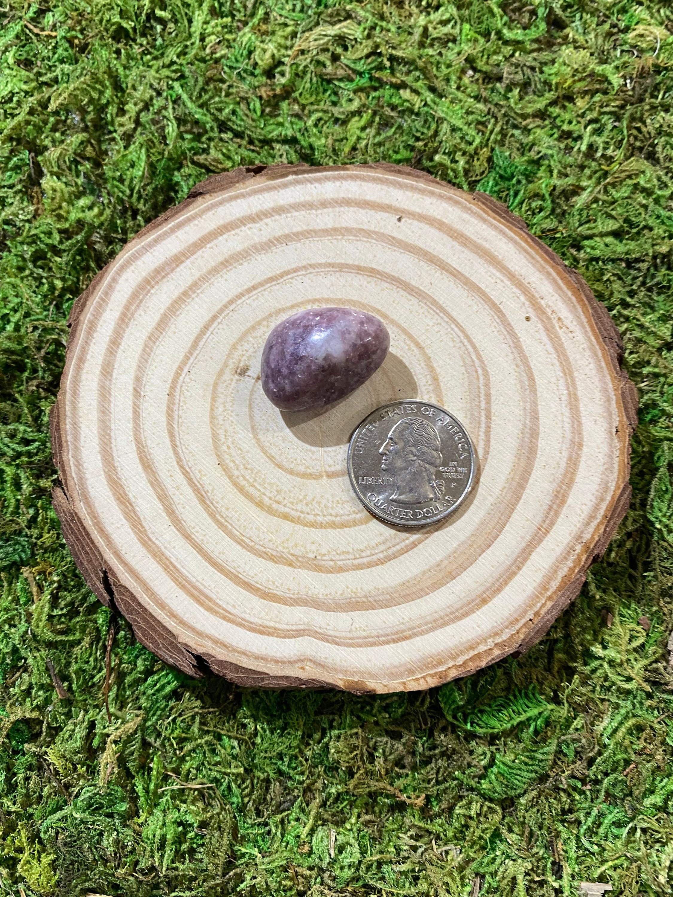 https://i.etsystatic.com/20819021/r/il/d9b458/3426622418/il_fullxfull.3426622418_4ucu.jpg