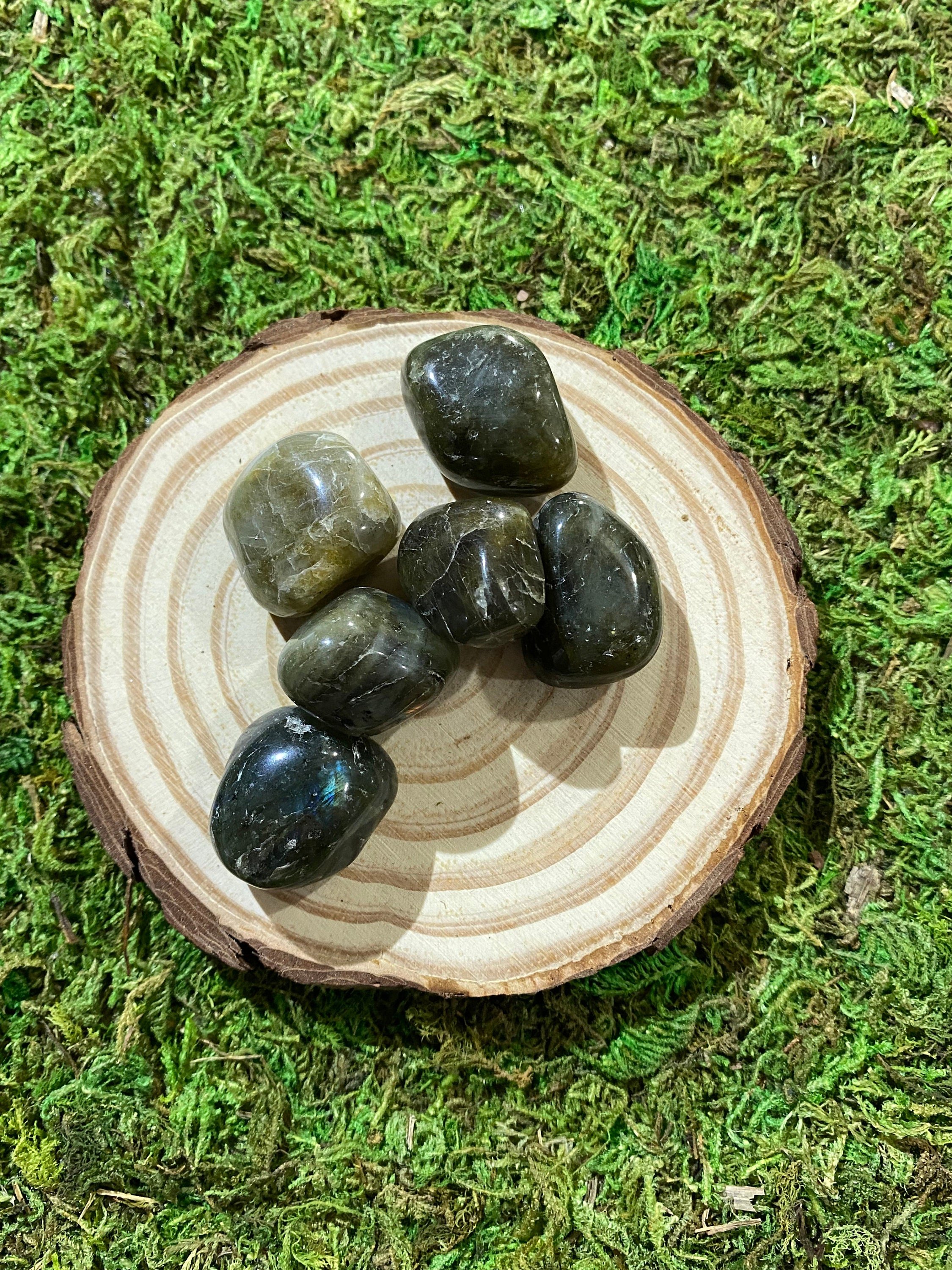 https://i.etsystatic.com/20819021/r/il/fbd91e/3426627752/il_fullxfull.3426627752_ahck.jpg