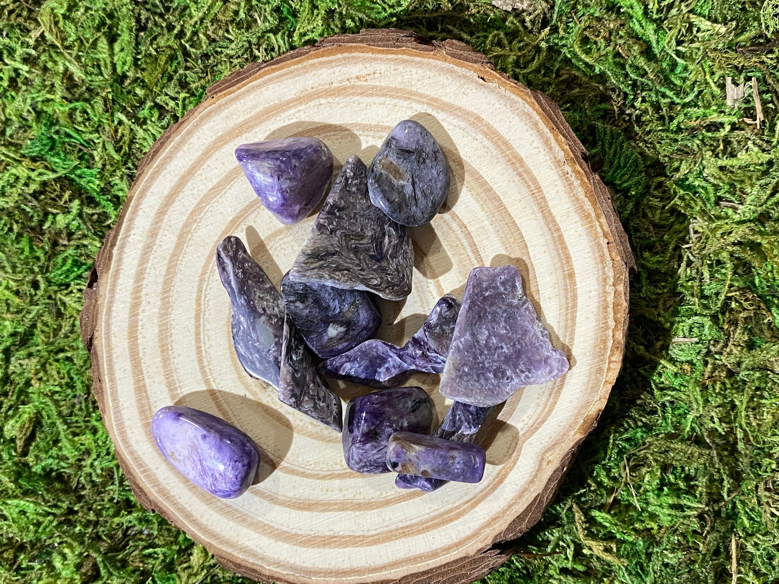 https://i.etsystatic.com/20819021/r/il/40c220/3472943529/il_fullxfull.3472943529_qpqp.jpg