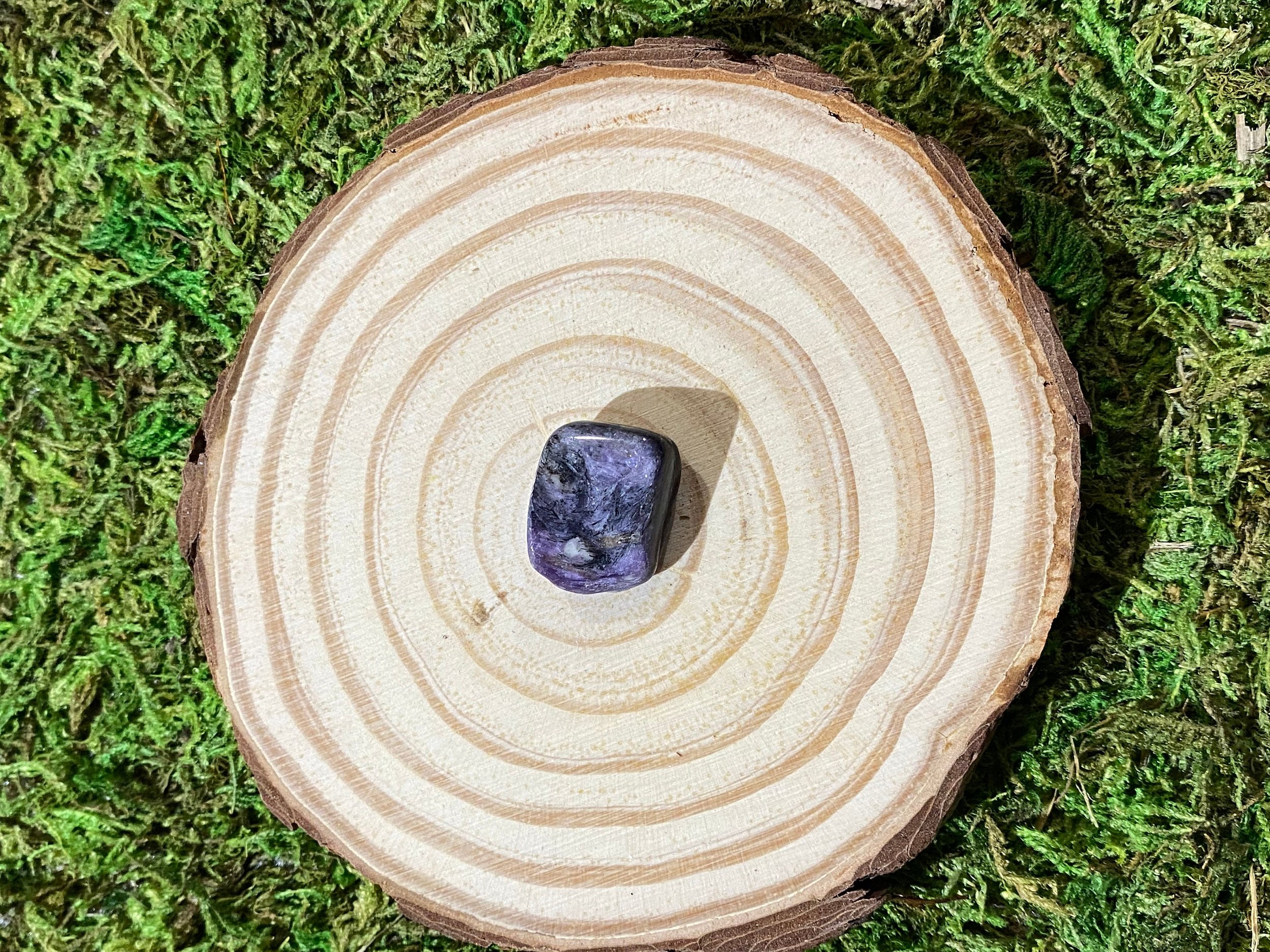 https://i.etsystatic.com/20819021/r/il/722523/3425265570/il_fullxfull.3425265570_hmly.jpg