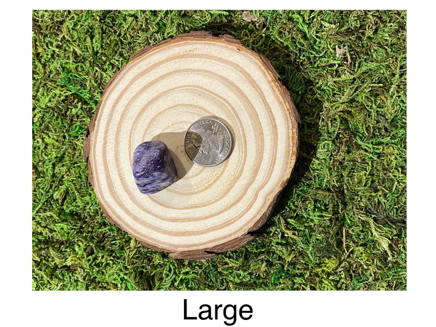 https://i.etsystatic.com/20819021/r/il/ec1448/3425267010/il_fullxfull.3425267010_d6ck.jpg