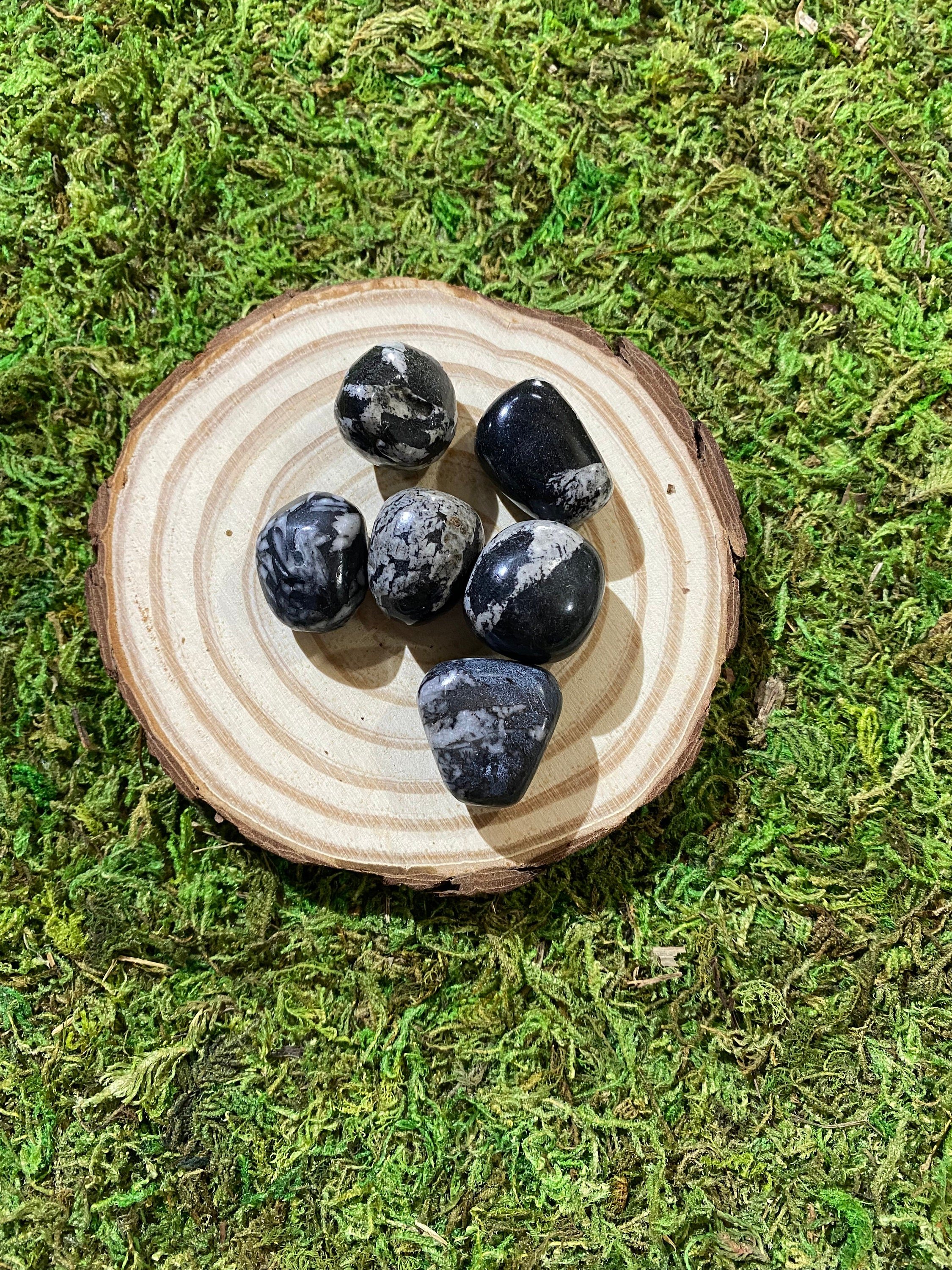 https://i.etsystatic.com/20819021/r/il/e45715/3473688583/il_fullxfull.3473688583_is92.jpg