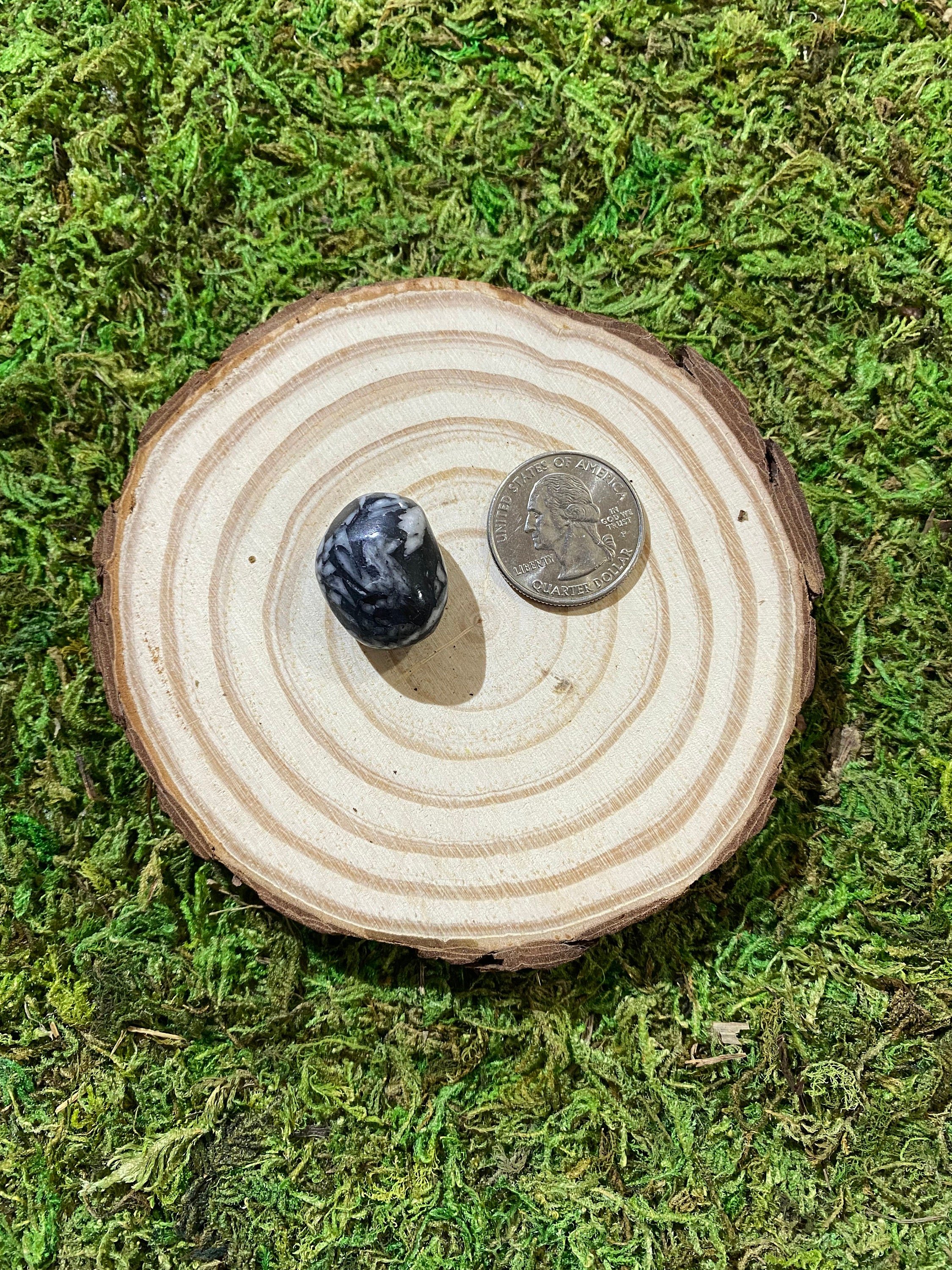 https://i.etsystatic.com/20819021/r/il/0d115f/3426011470/il_fullxfull.3426011470_ipu4.jpg