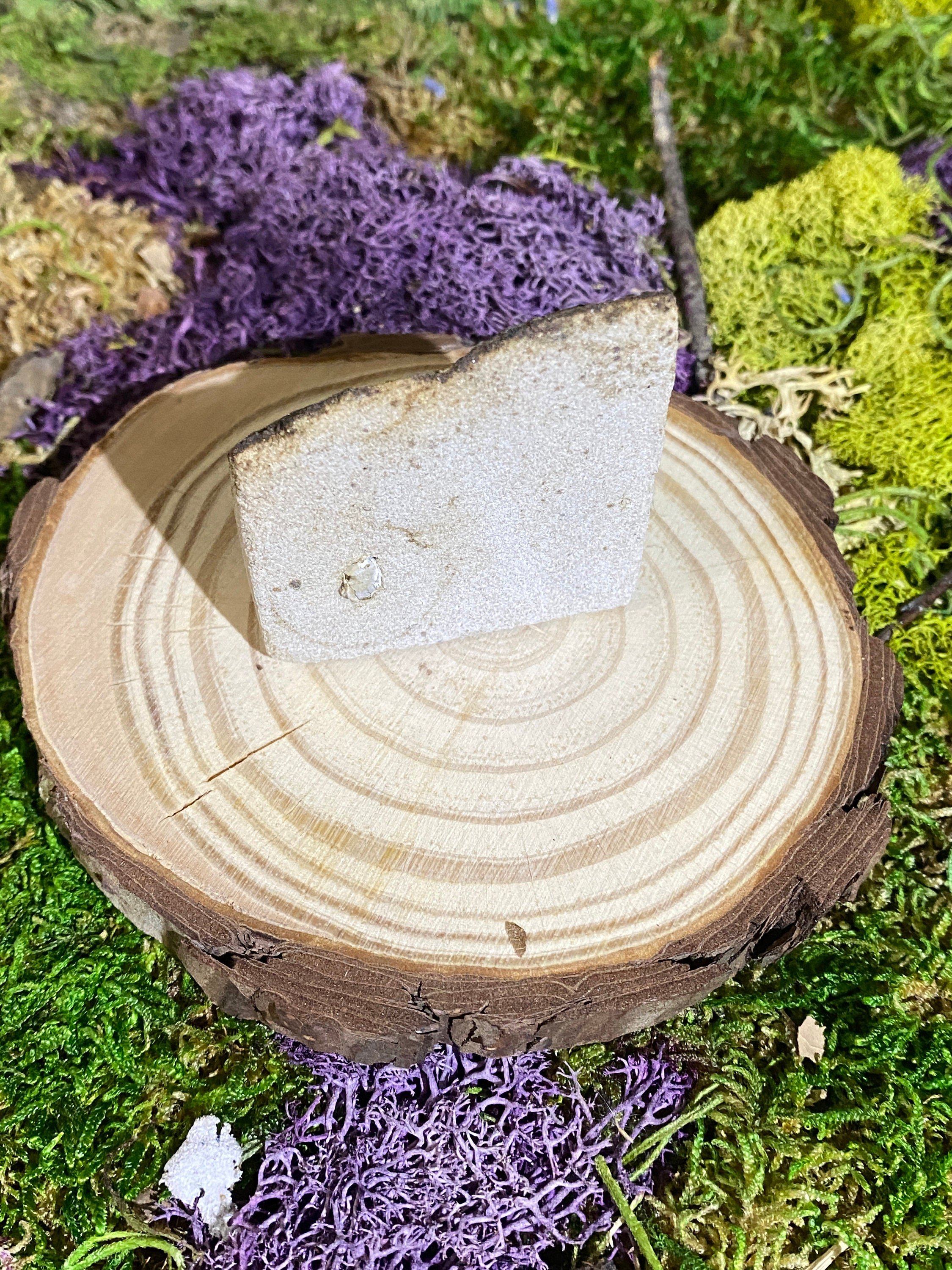 https://i.etsystatic.com/20819021/r/il/1fad7f/3818102005/il_fullxfull.3818102005_js0i.jpg
