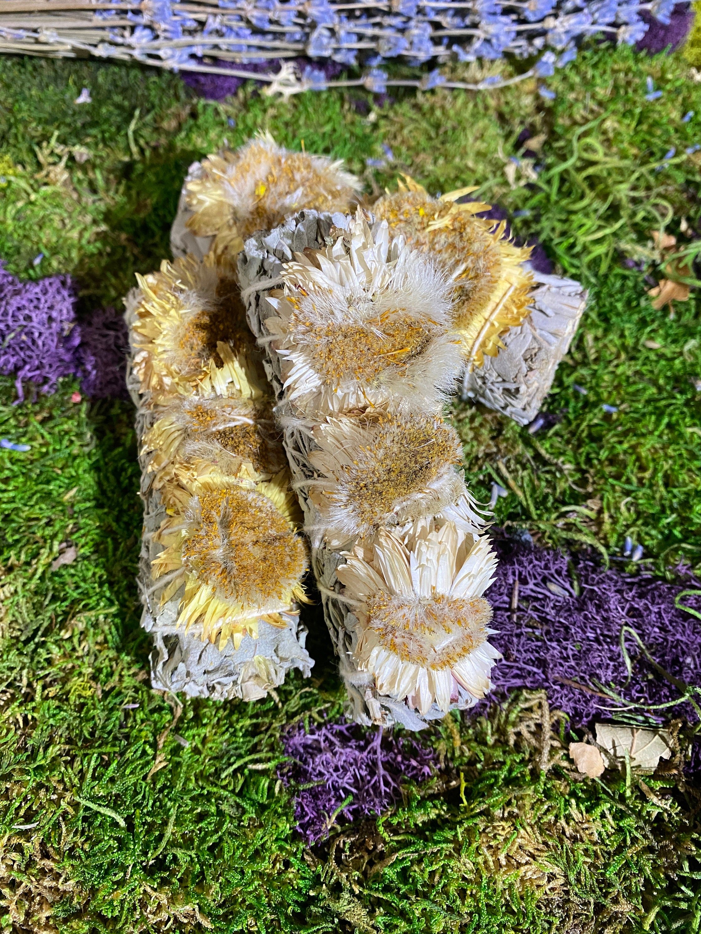 https://i.etsystatic.com/20819021/r/il/a08649/4283092958/il_fullxfull.4283092958_ipd4.jpg