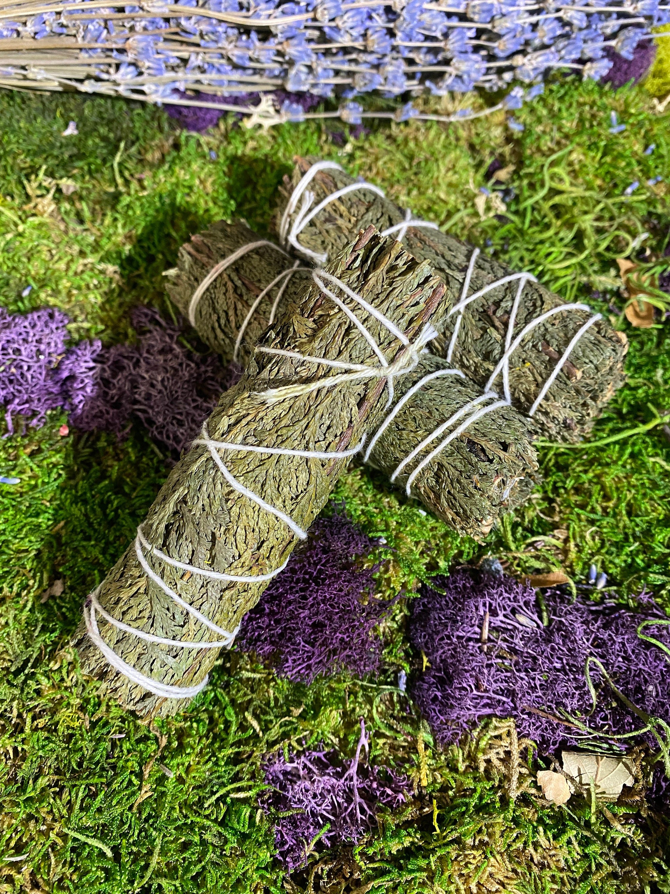 https://i.etsystatic.com/20819021/r/il/4292f5/4283082712/il_fullxfull.4283082712_h8ln.jpg