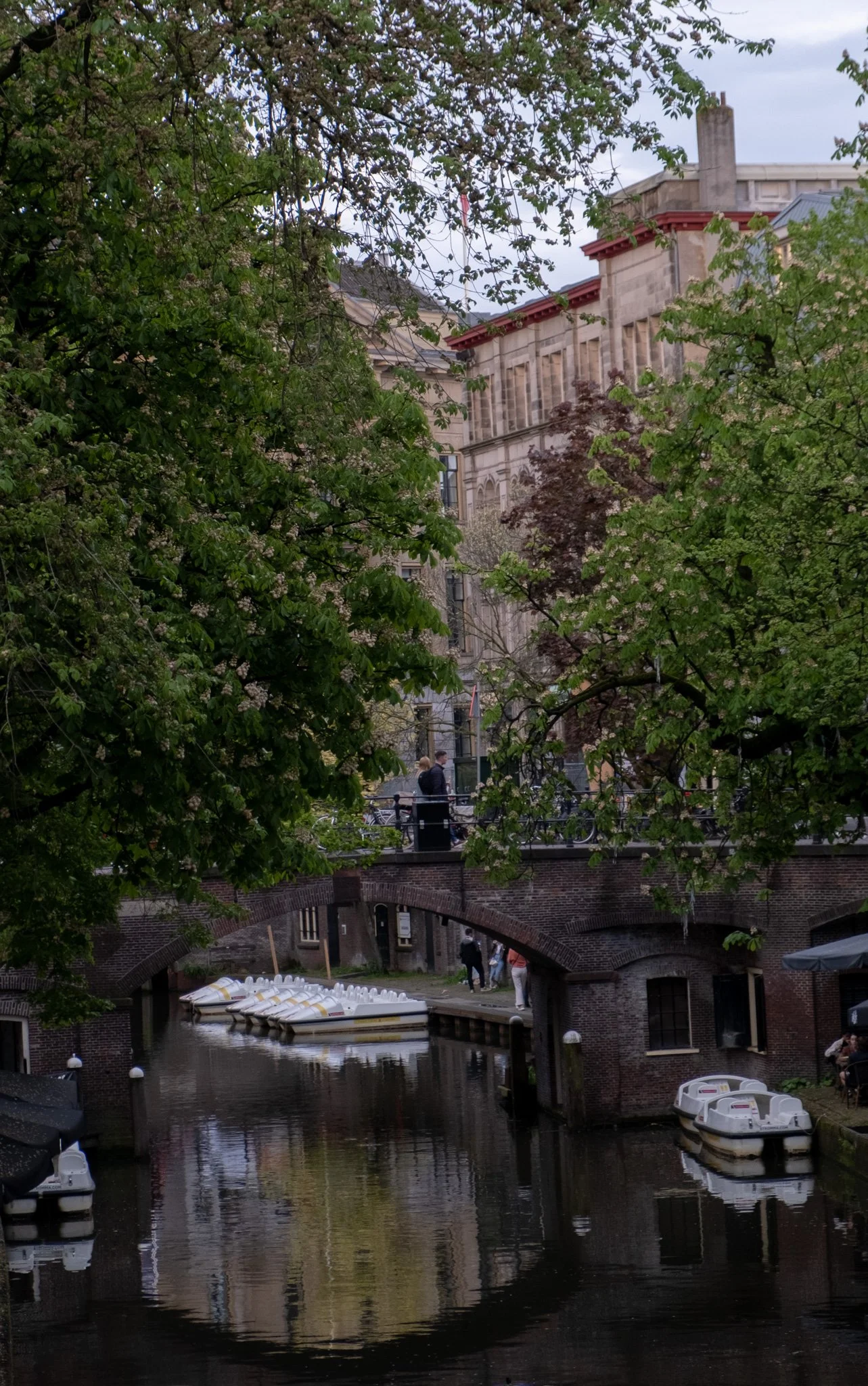DSCF3390.jpg