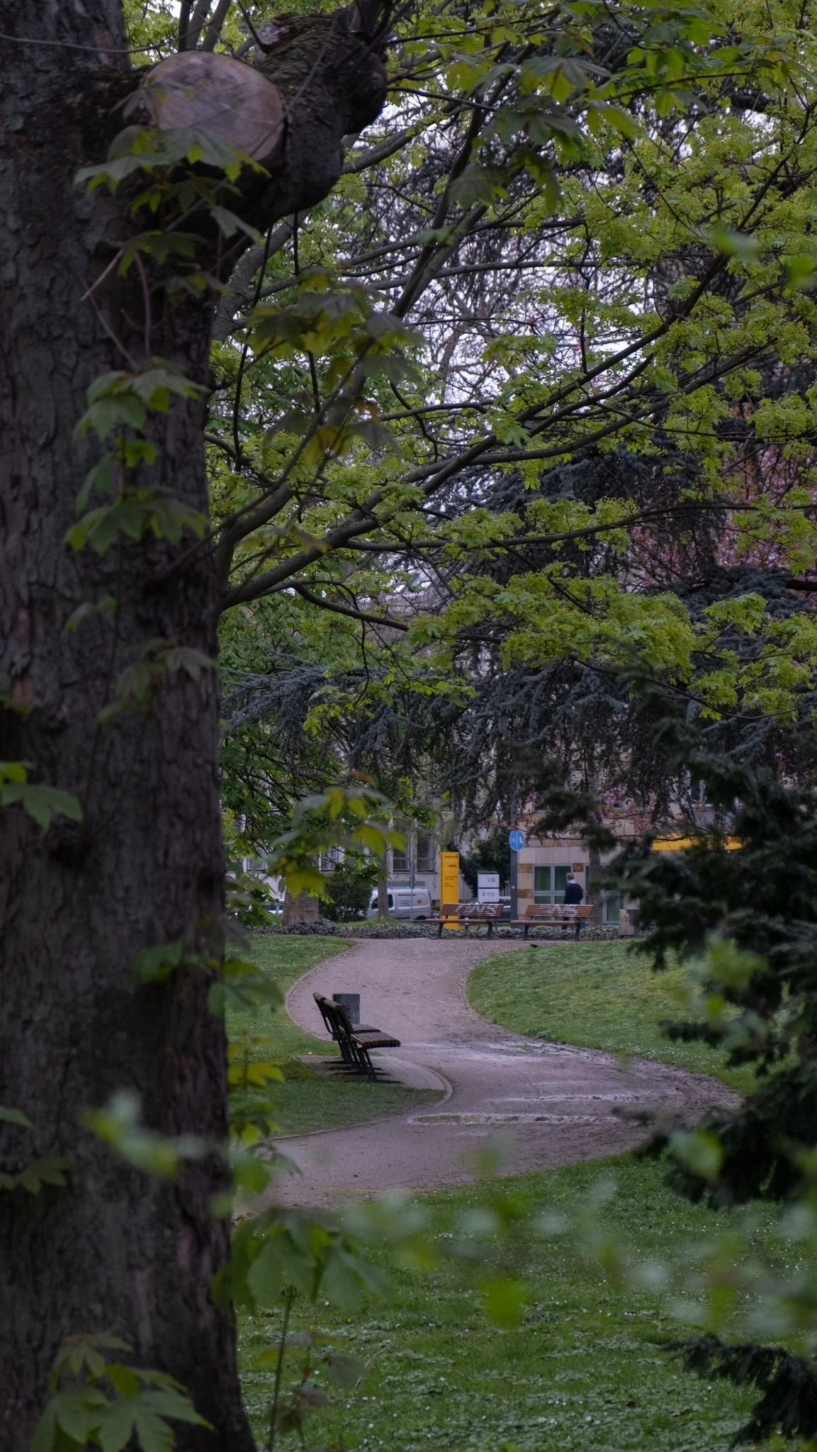DSCF2917.jpg
