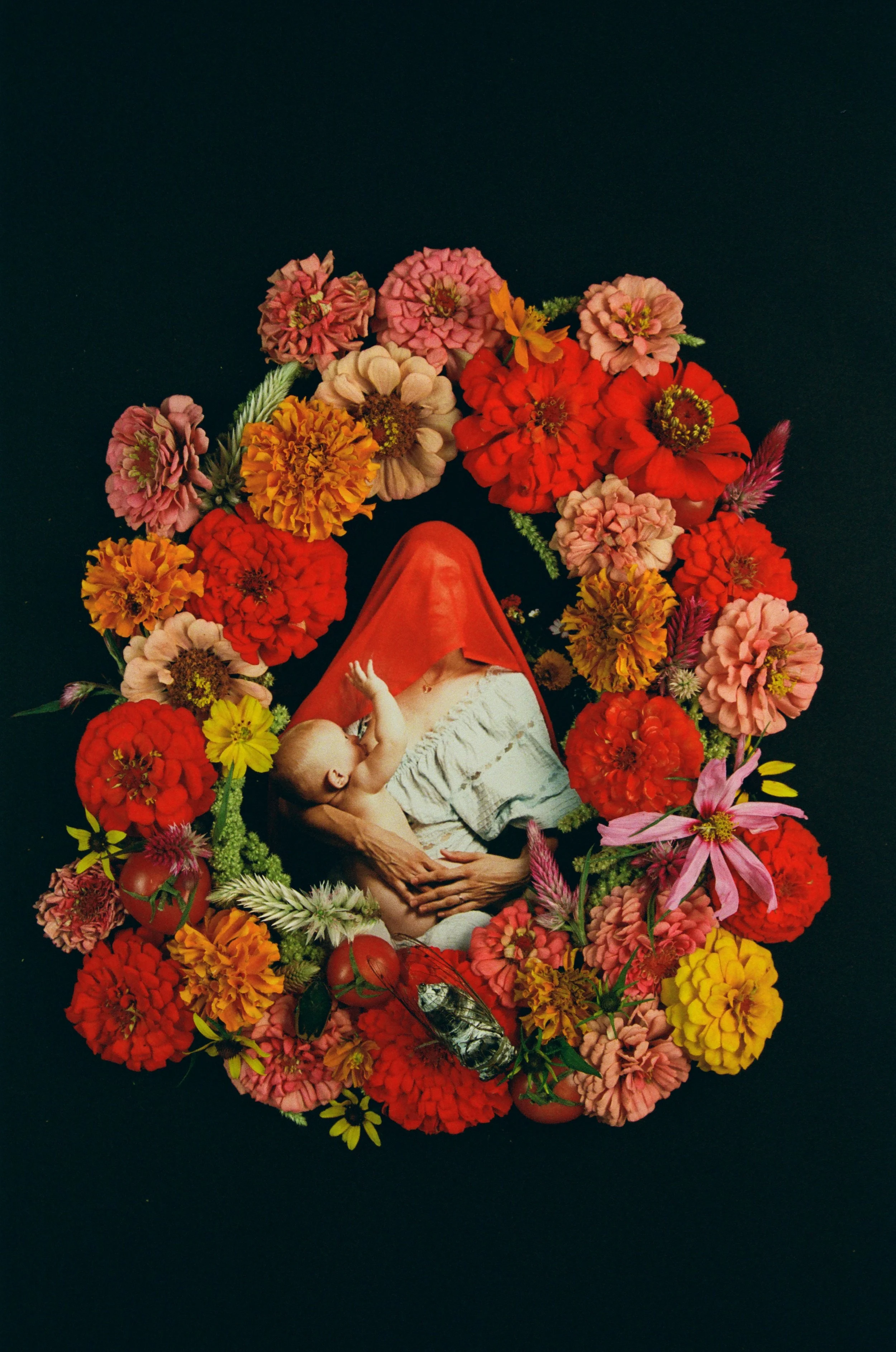 My Year of the Madonnas in Bloom.