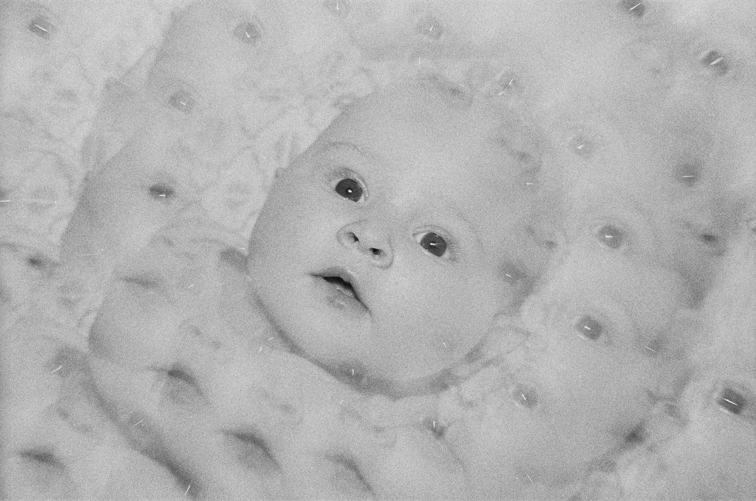 ilford_400_bw_37301_119230_268084_000010350027.jpg