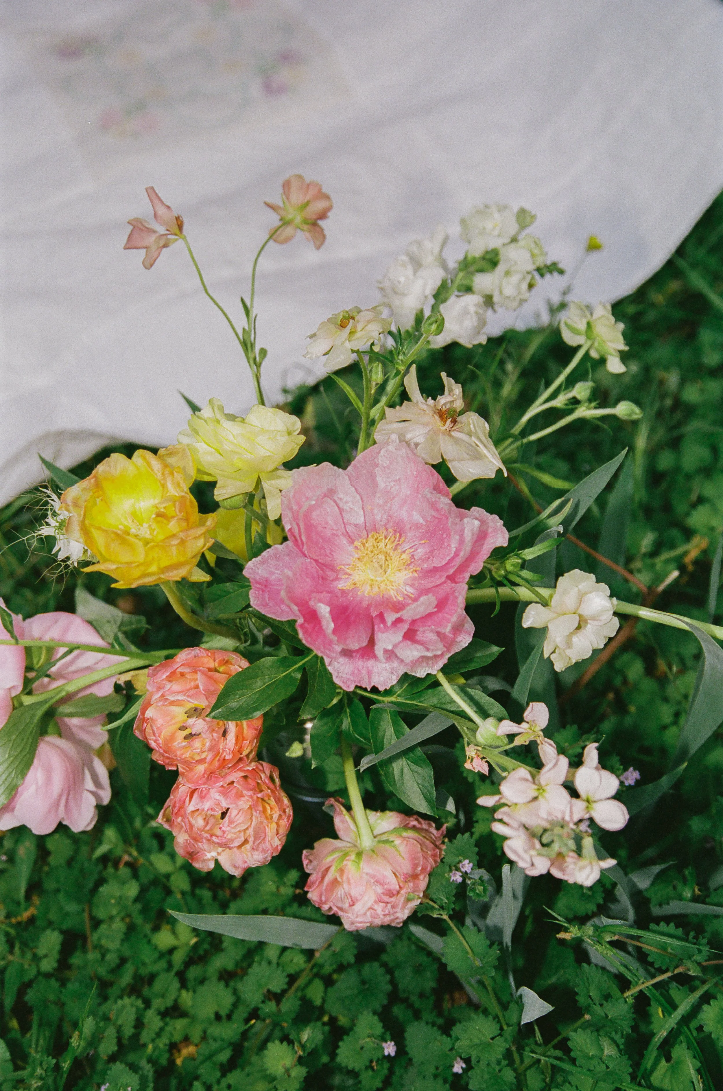 AbbeyH_35mm-075.jpg