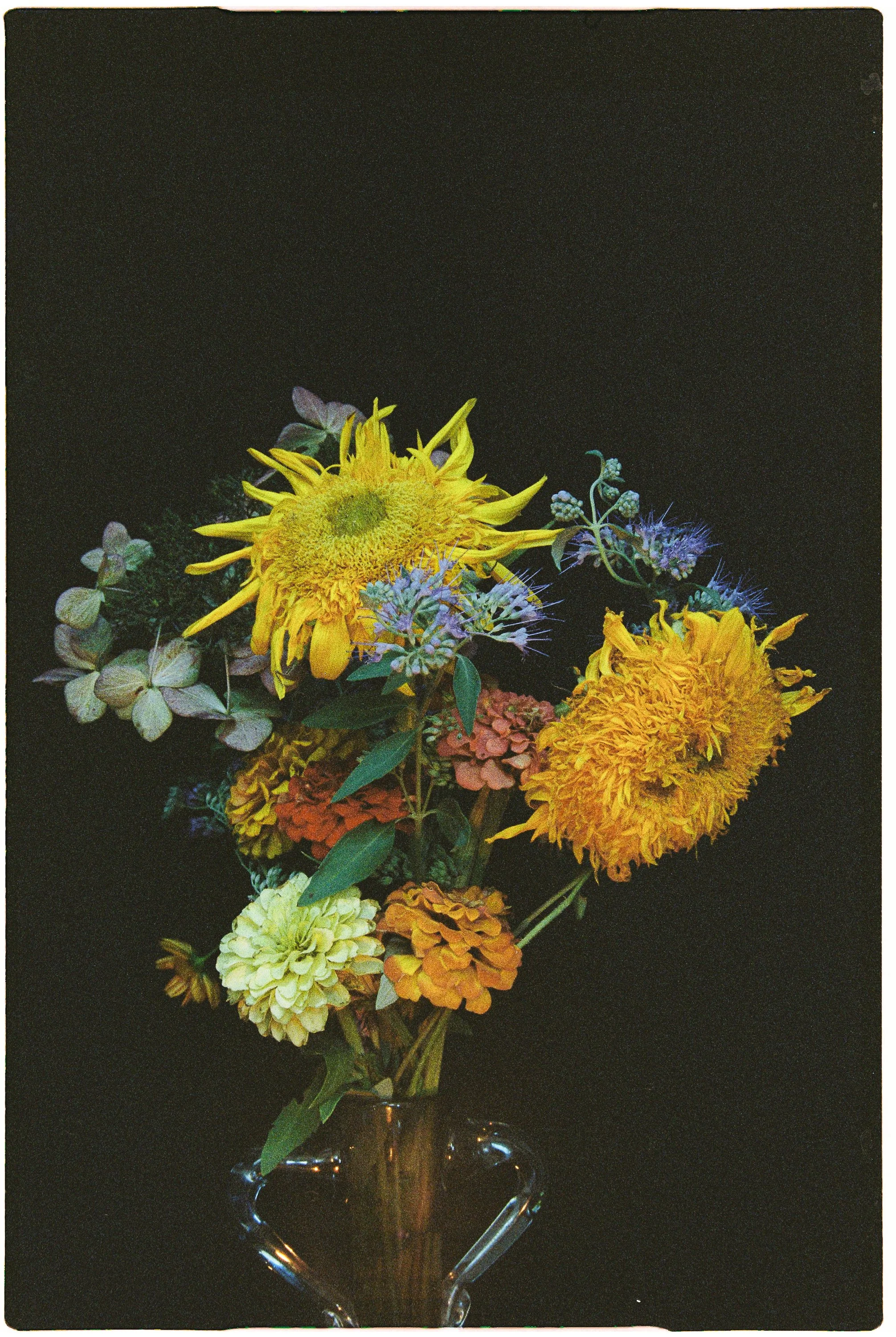 A bouquet of yellow, orange, purple, and white flowers in a clear glass vase against a black background. Fine art floral photography.