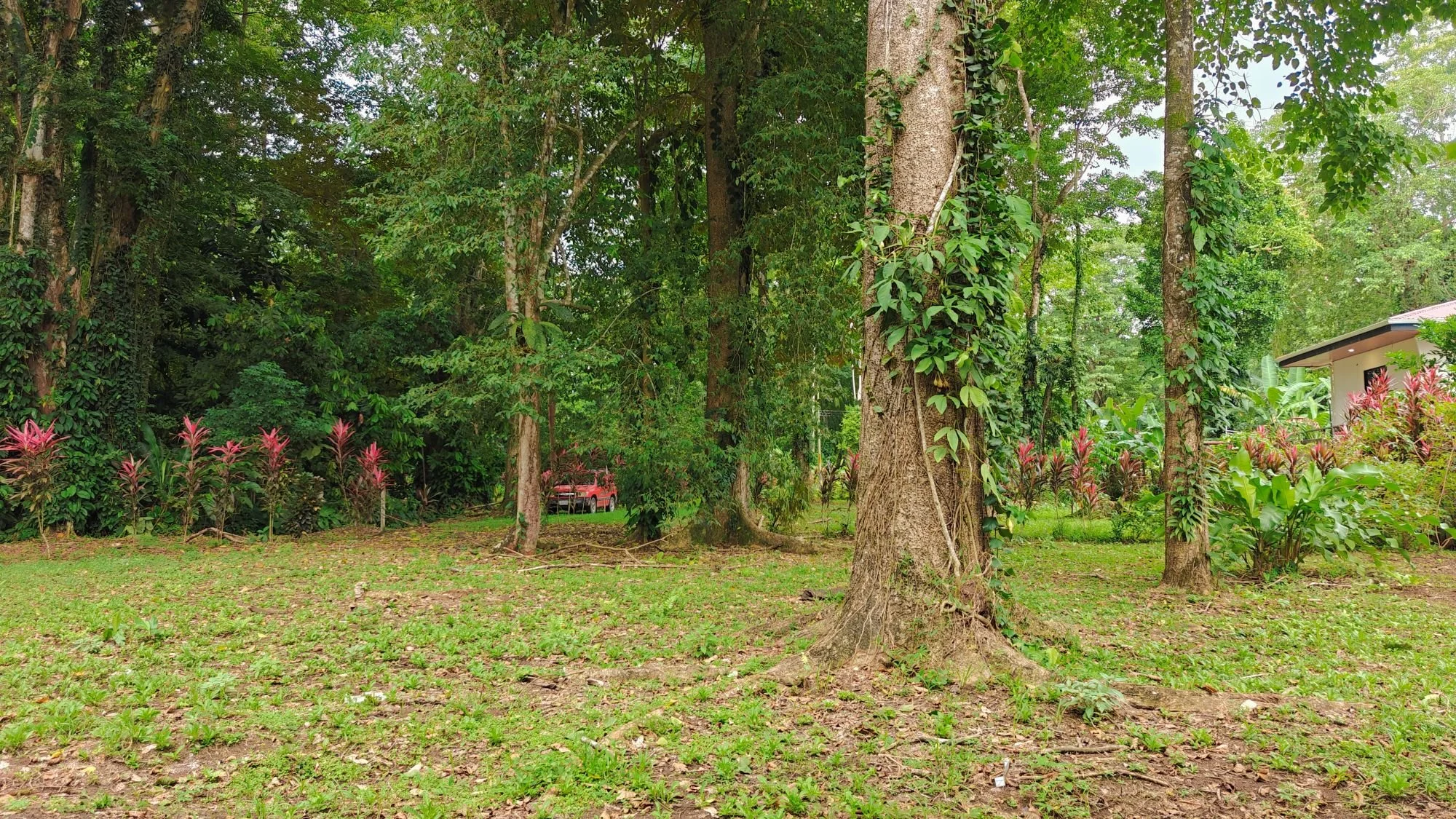 IMG20250913143122.jpg