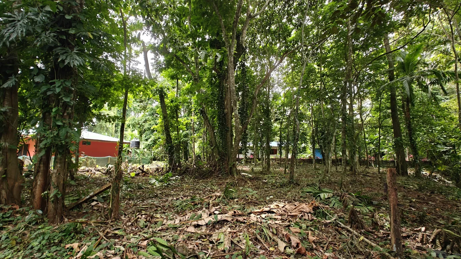 $99,000 - Titled 1259 m² Lot Steps from Cahuita National Park