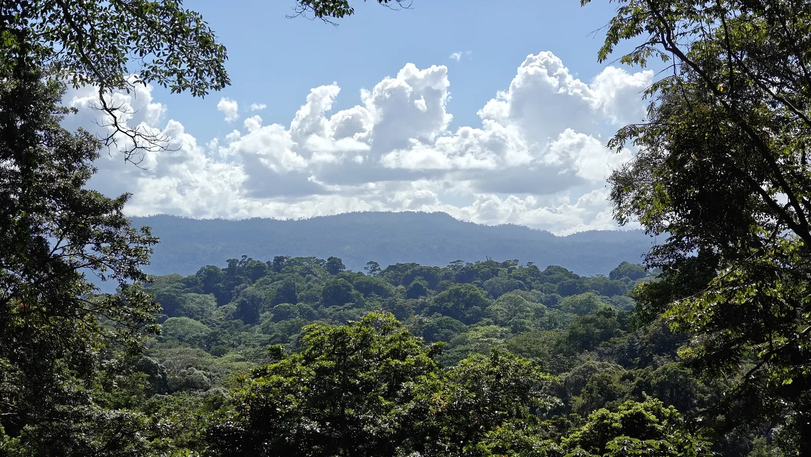 Hillside_Mountain_View_Lot_Playa_Chiquita 6.webp
