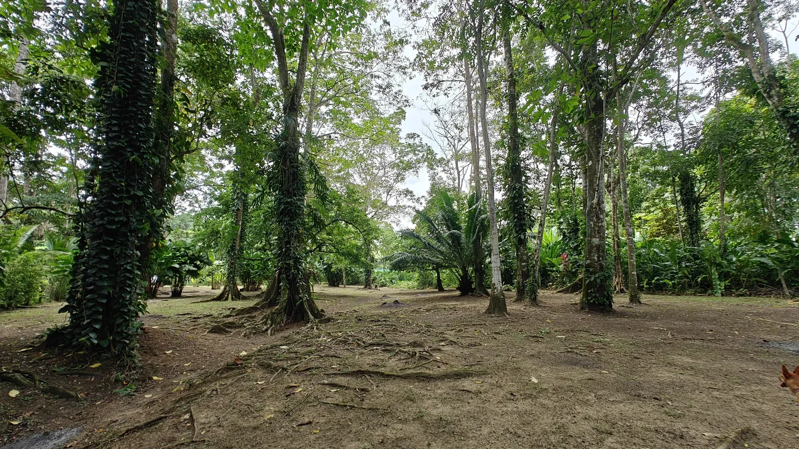 $345,000 - 2,500m² - Punta Uva Riverfront Lot