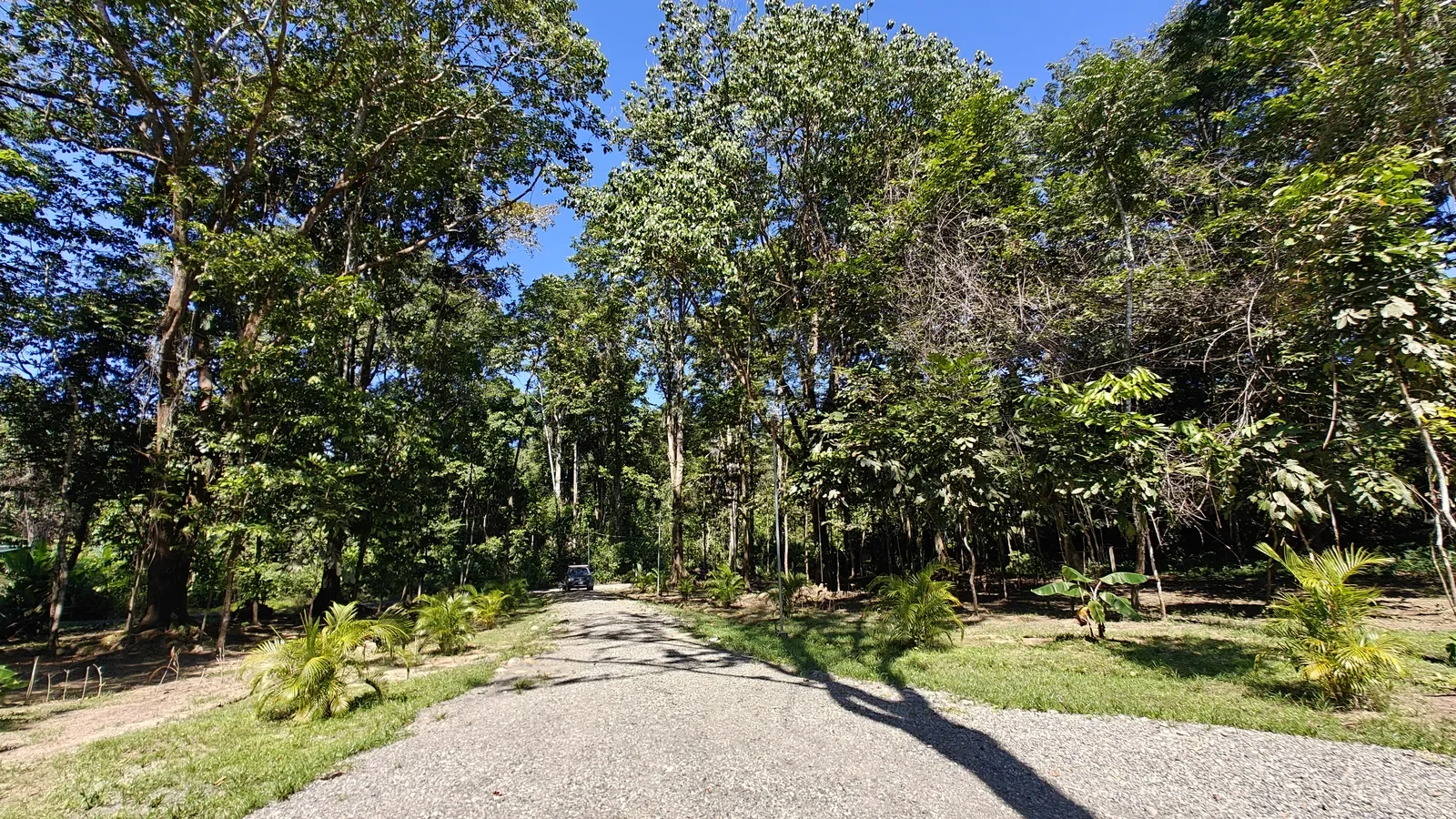 quality-presale-home-on-5000m-lot (18).webp