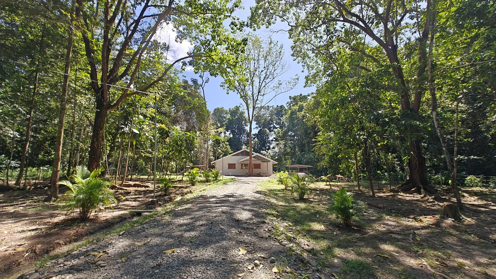 quality-presale-home-on-5000m-lot (29).webp