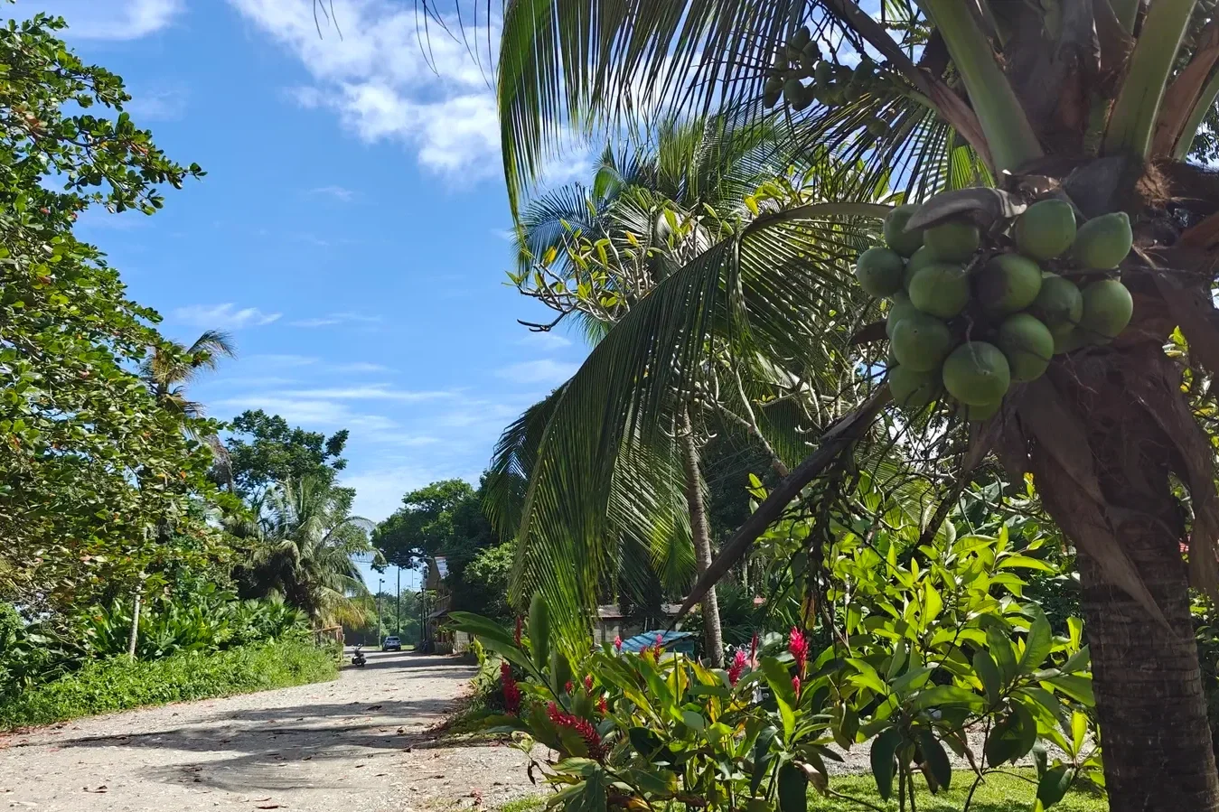 Living in Cahuita Costa Rica: Cahuita Beach