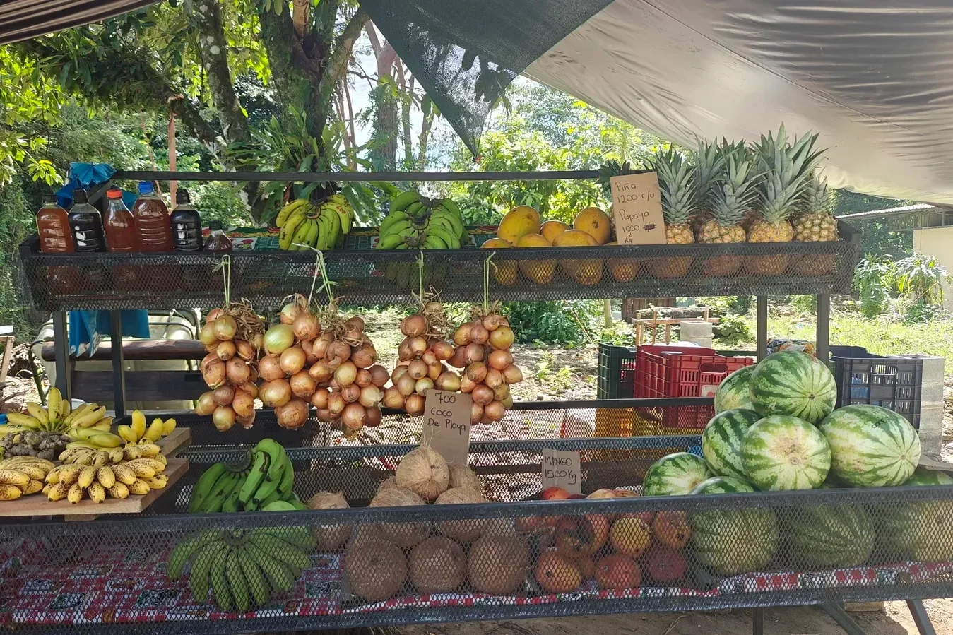 Living in Cahuita Costa Rica: At a local farmers market