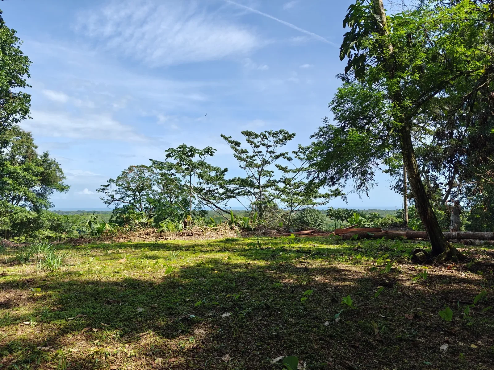 6-hectares-cahuita-ocean-views (1).webp