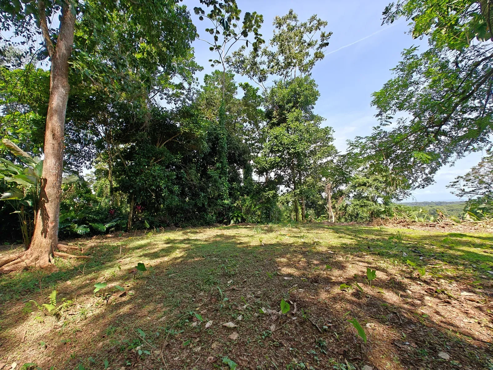 6-hectares-cahuita-ocean-views (2).webp