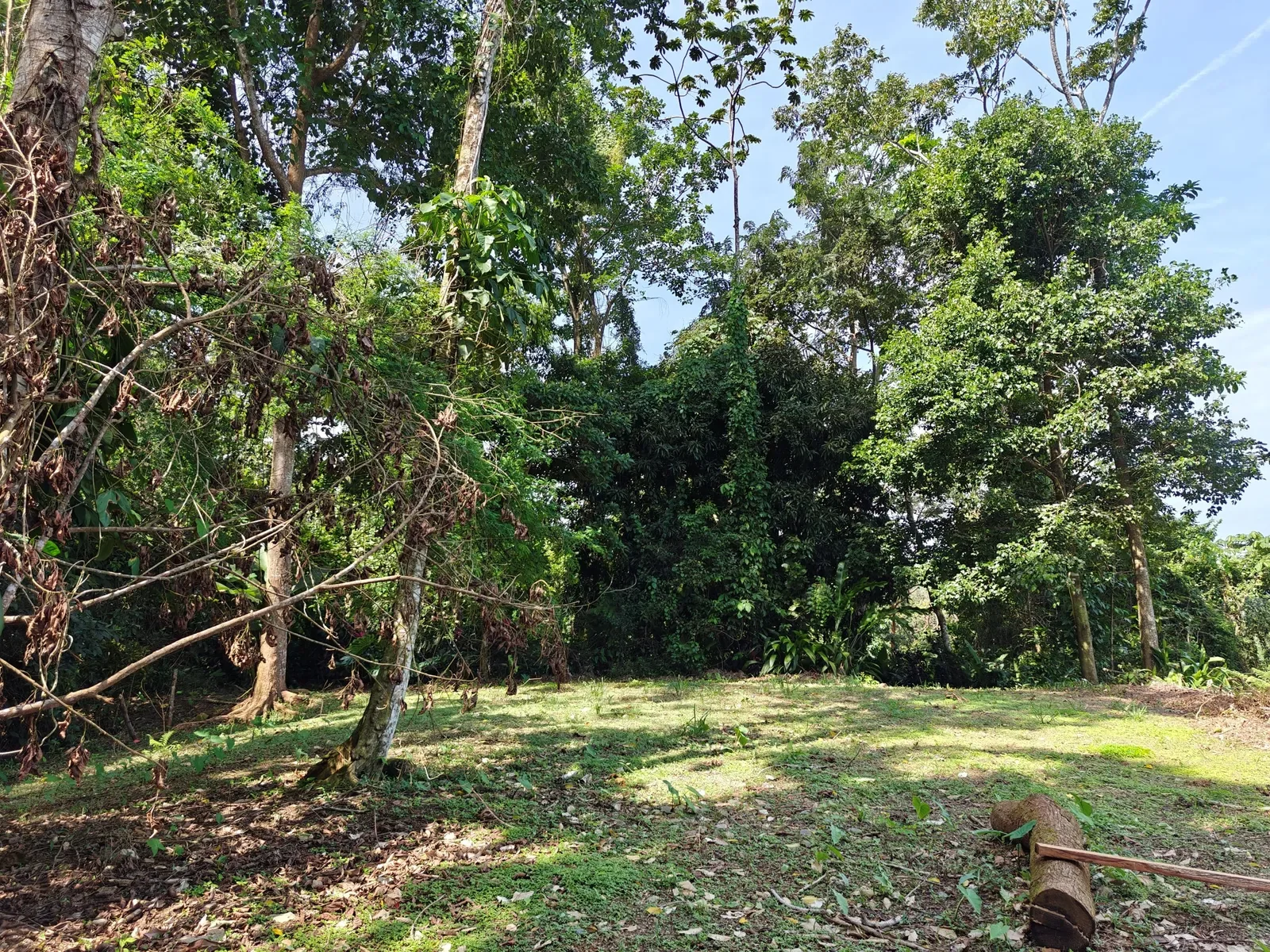 6-hectares-cahuita-ocean-views (3).webp