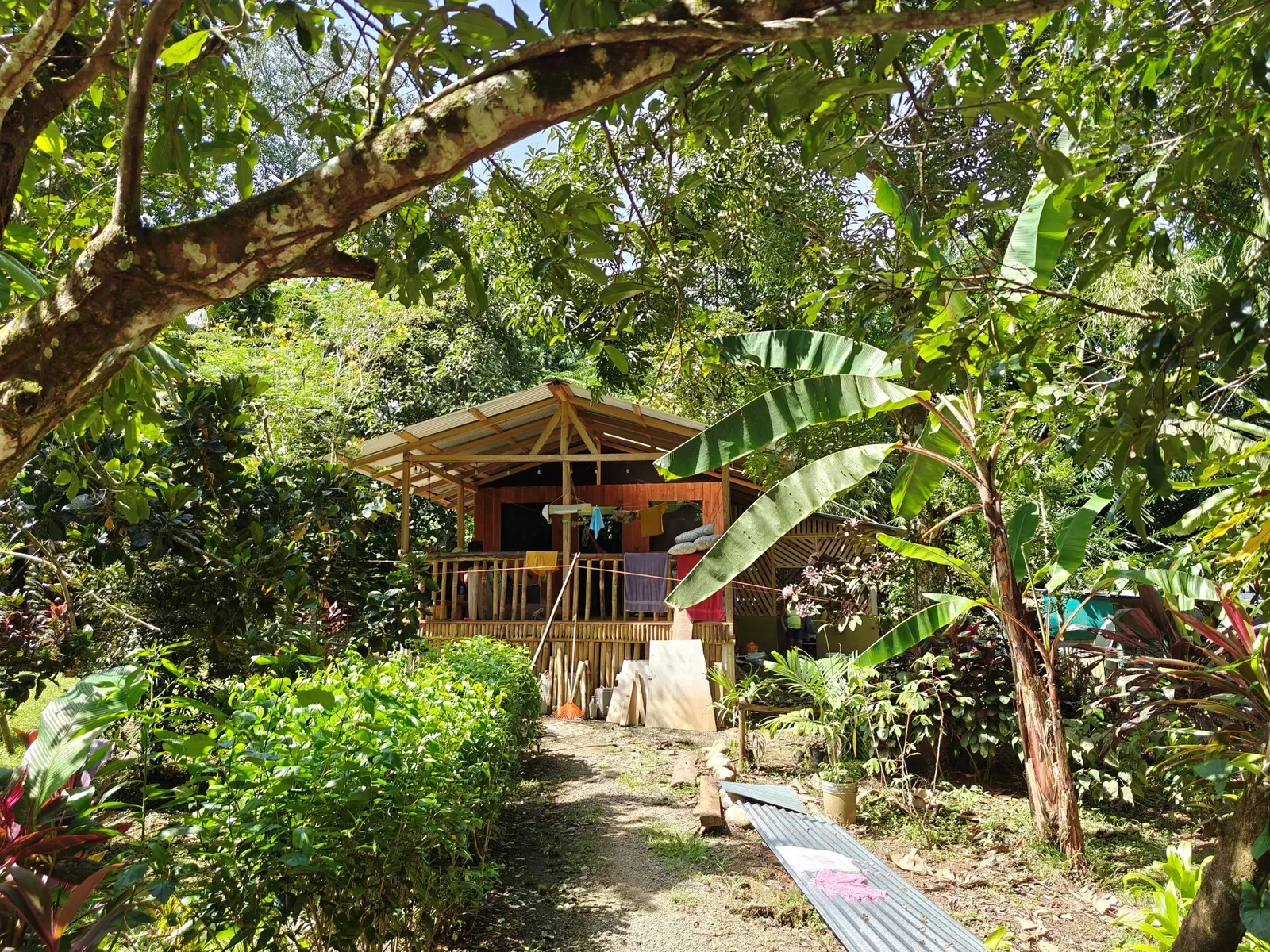 6-hectares-cahuita-ocean-views (4).webp