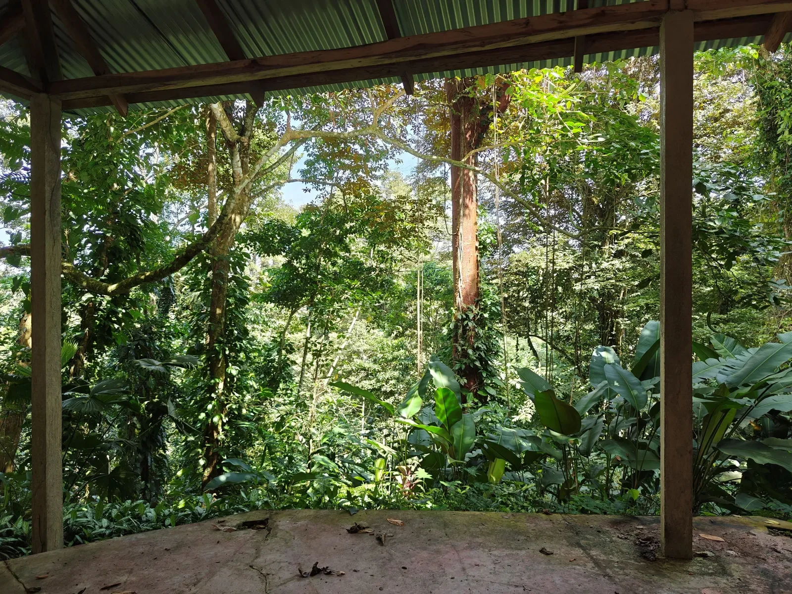 6-hectares-cahuita-ocean-views (12).webp