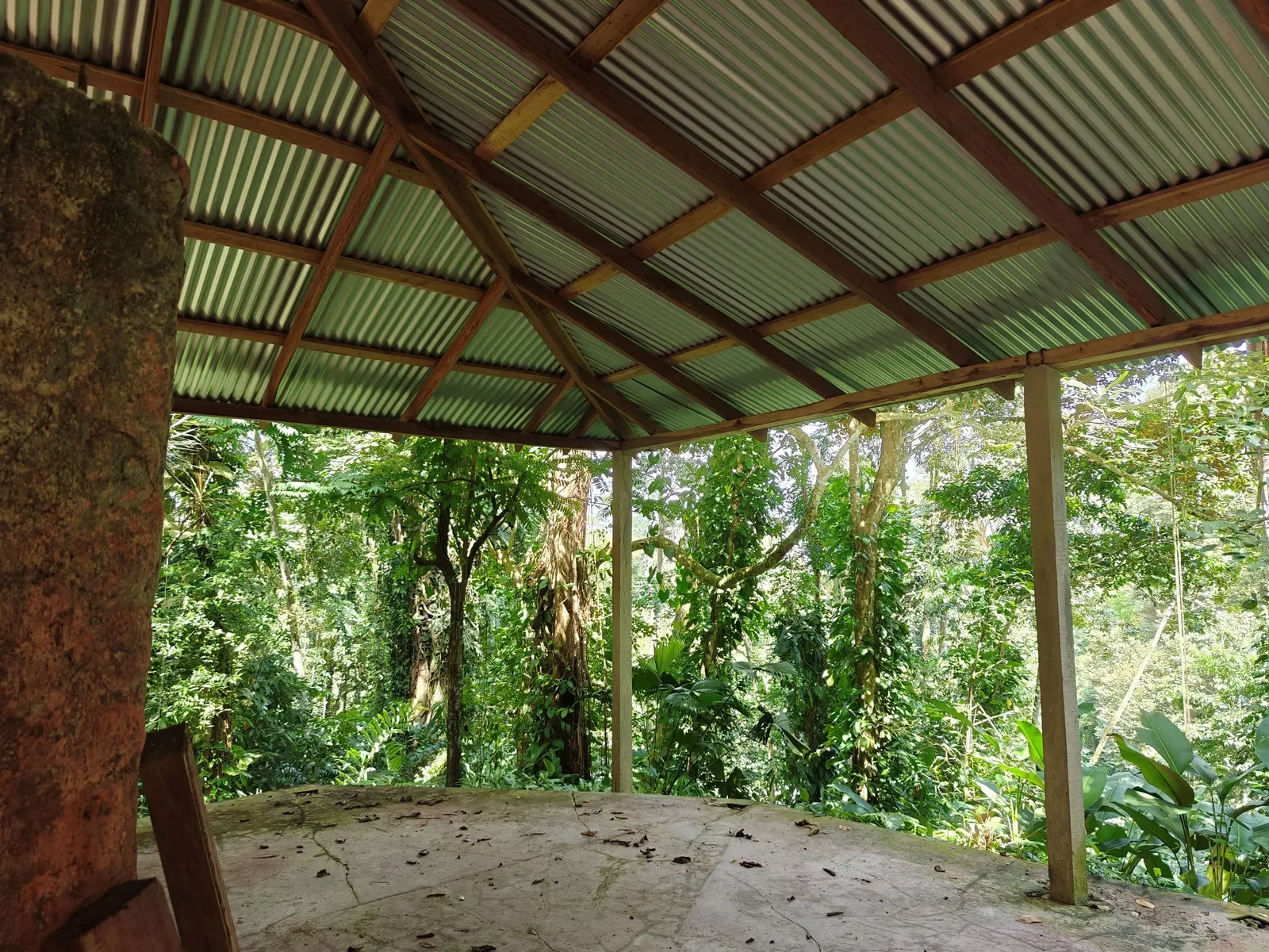 6-hectares-cahuita-ocean-views (14).webp