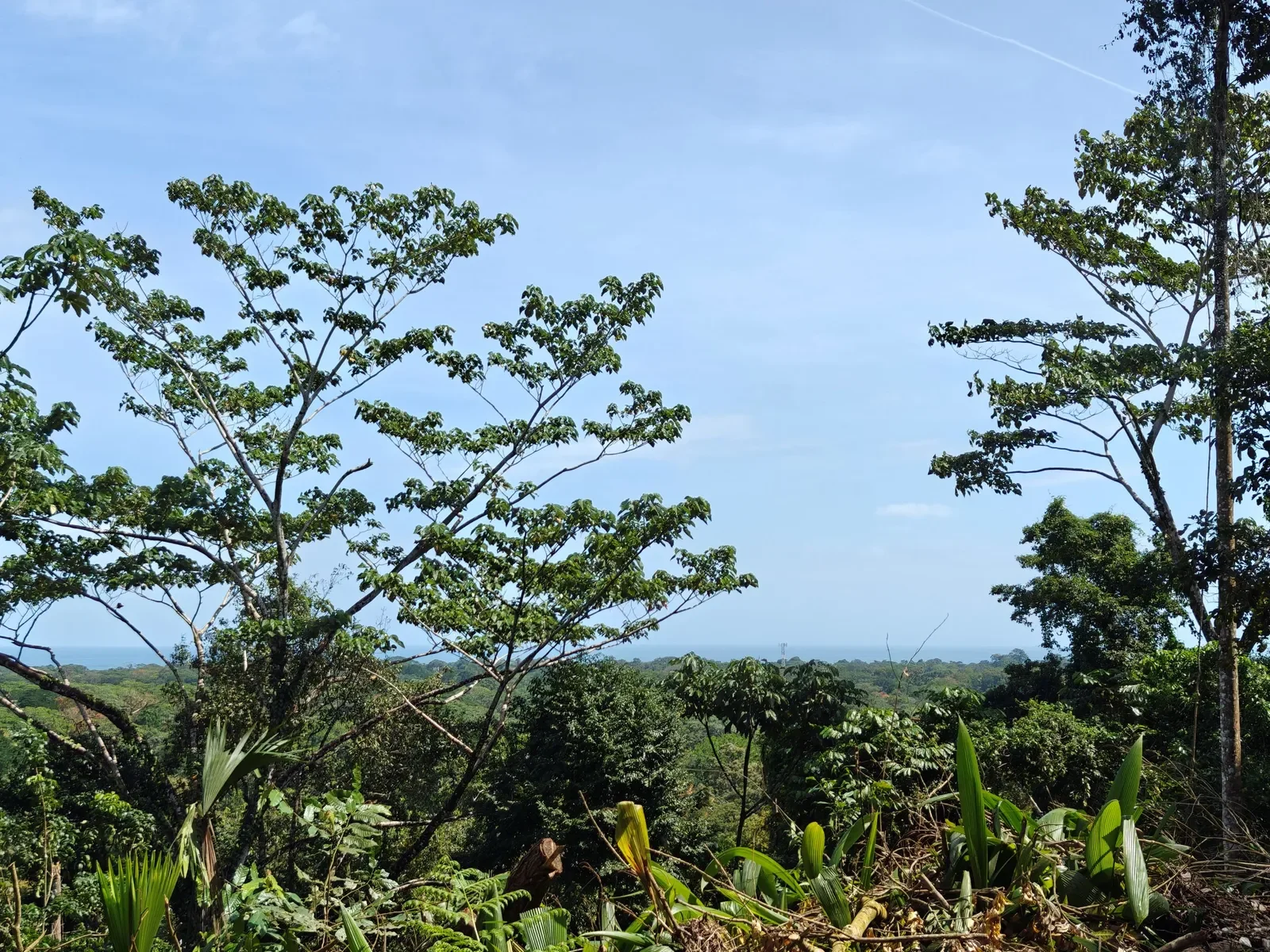 6-hectares-cahuita-ocean-views (15).webp