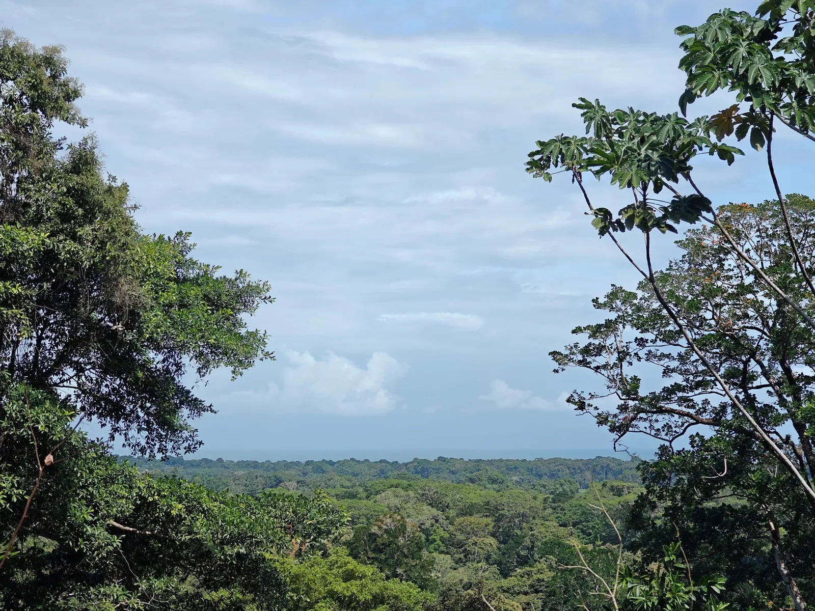 6-hectares-cahuita-ocean-views (17).webp