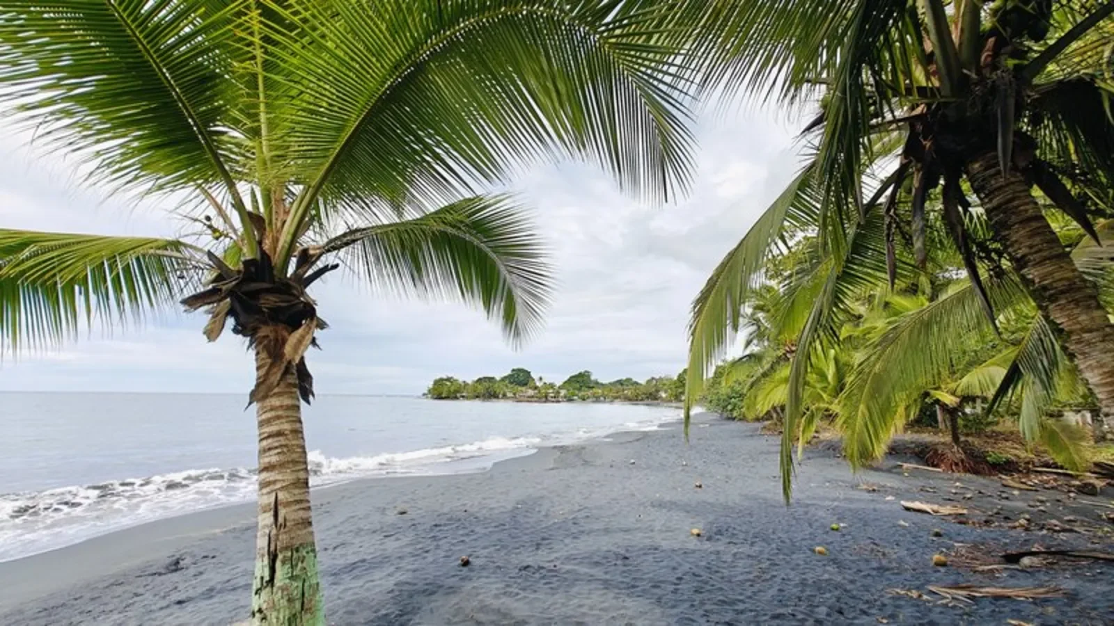 Renovated Home with Ocean View (18).webp