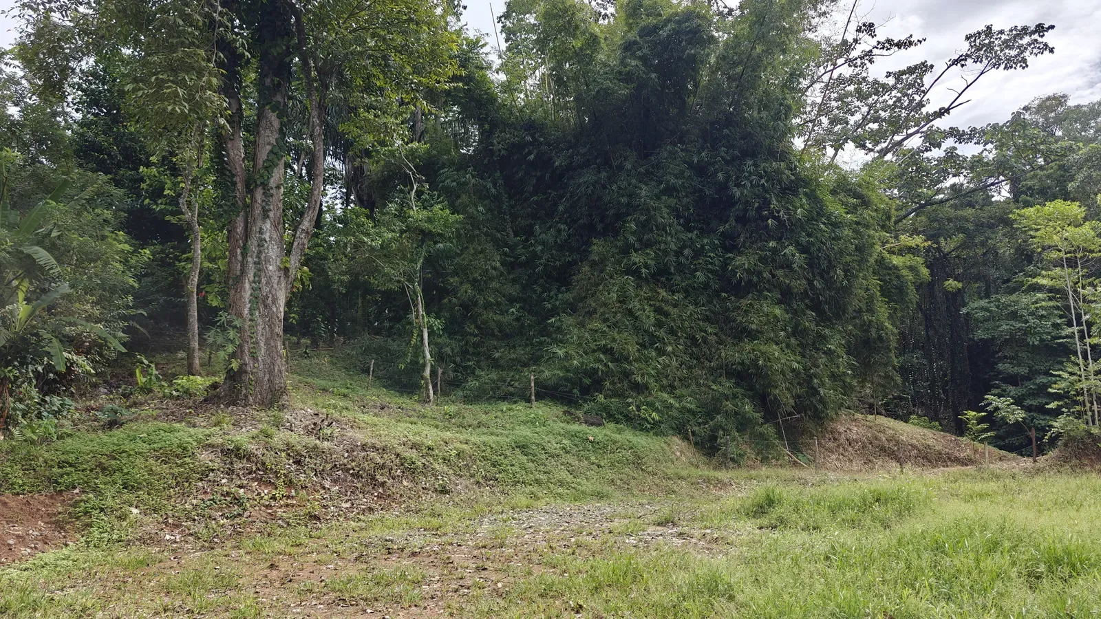 puerto-viejo-ocean-view-land (2).webp