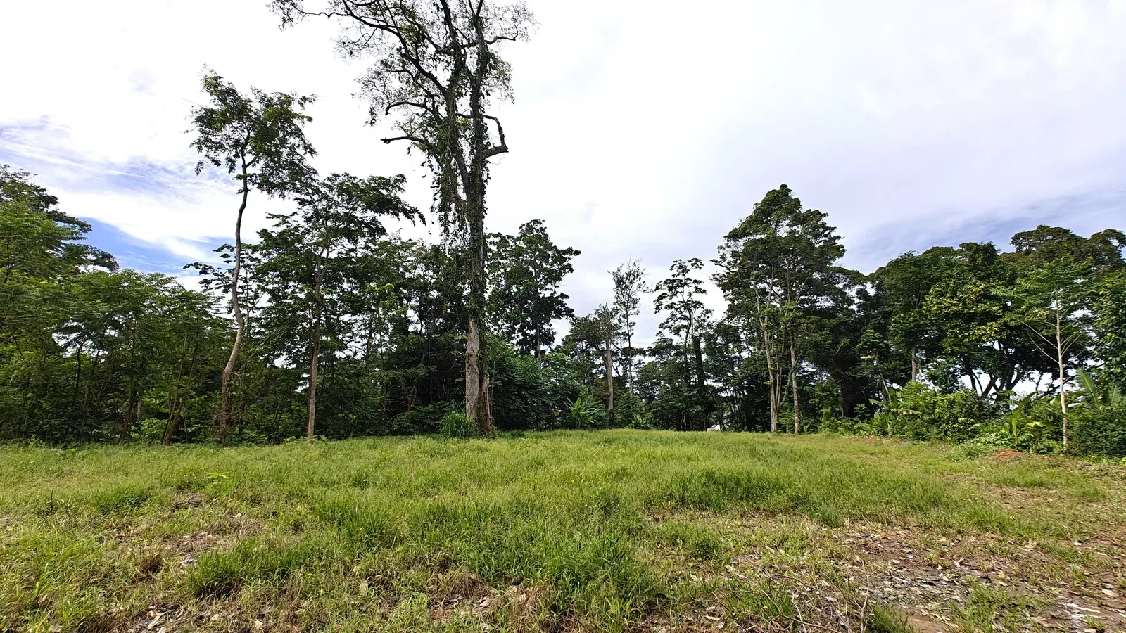 puerto-viejo-ocean-view-land (4).webp