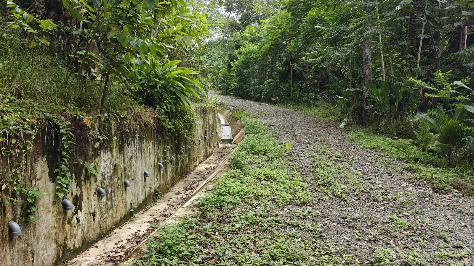 puerto-viejo-ocean-view-land (5).webp