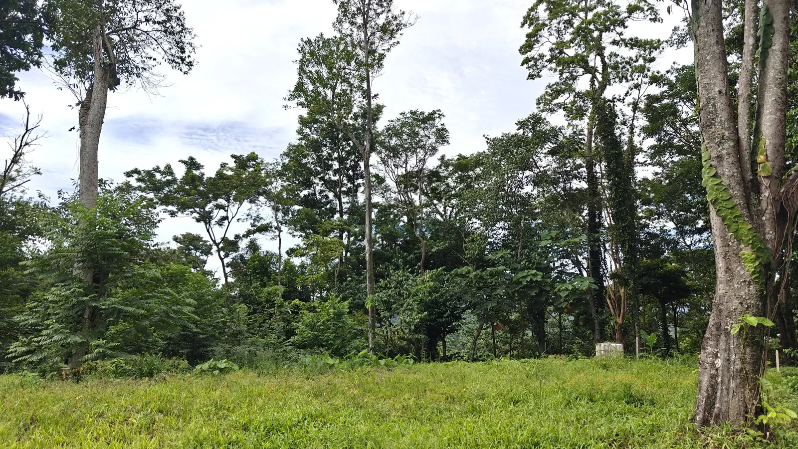 puerto-viejo-ocean-view-land (6).webp