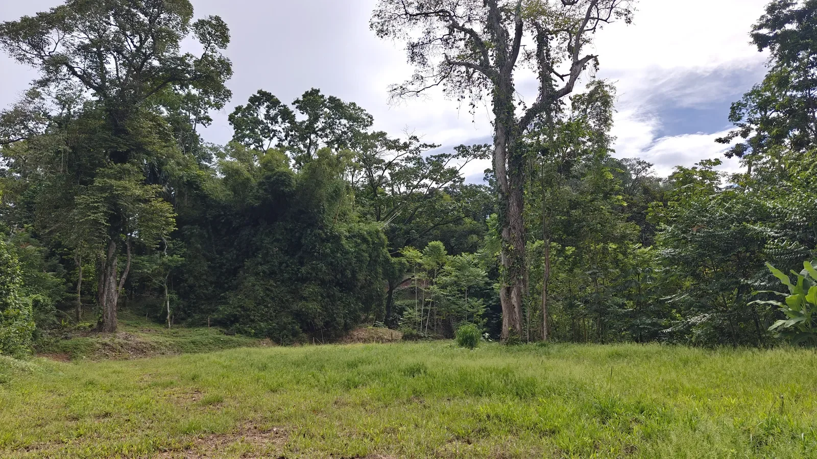 puerto-viejo-ocean-view-land (7).webp