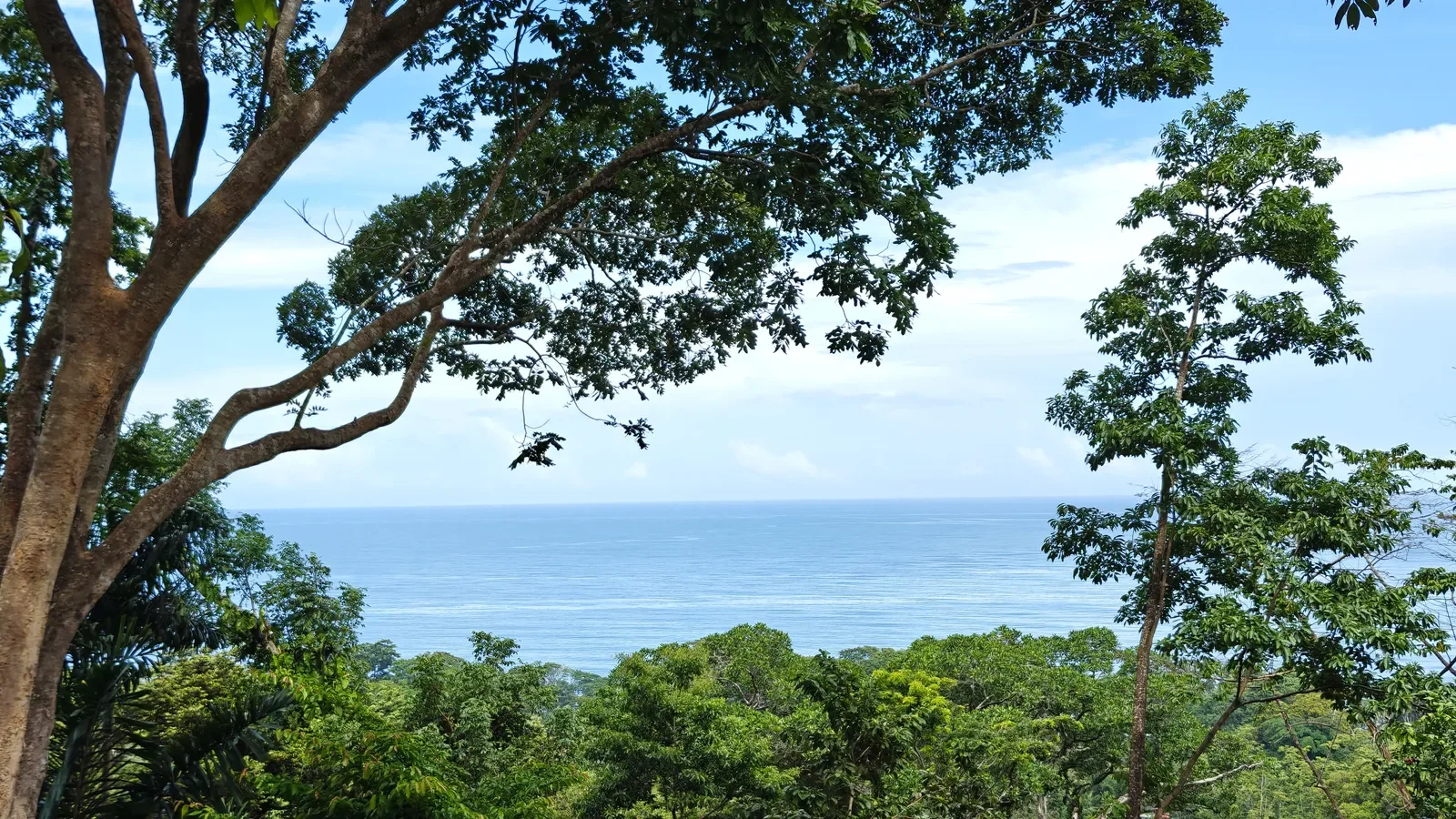 puerto-viejo-ocean-view-land (8).webp