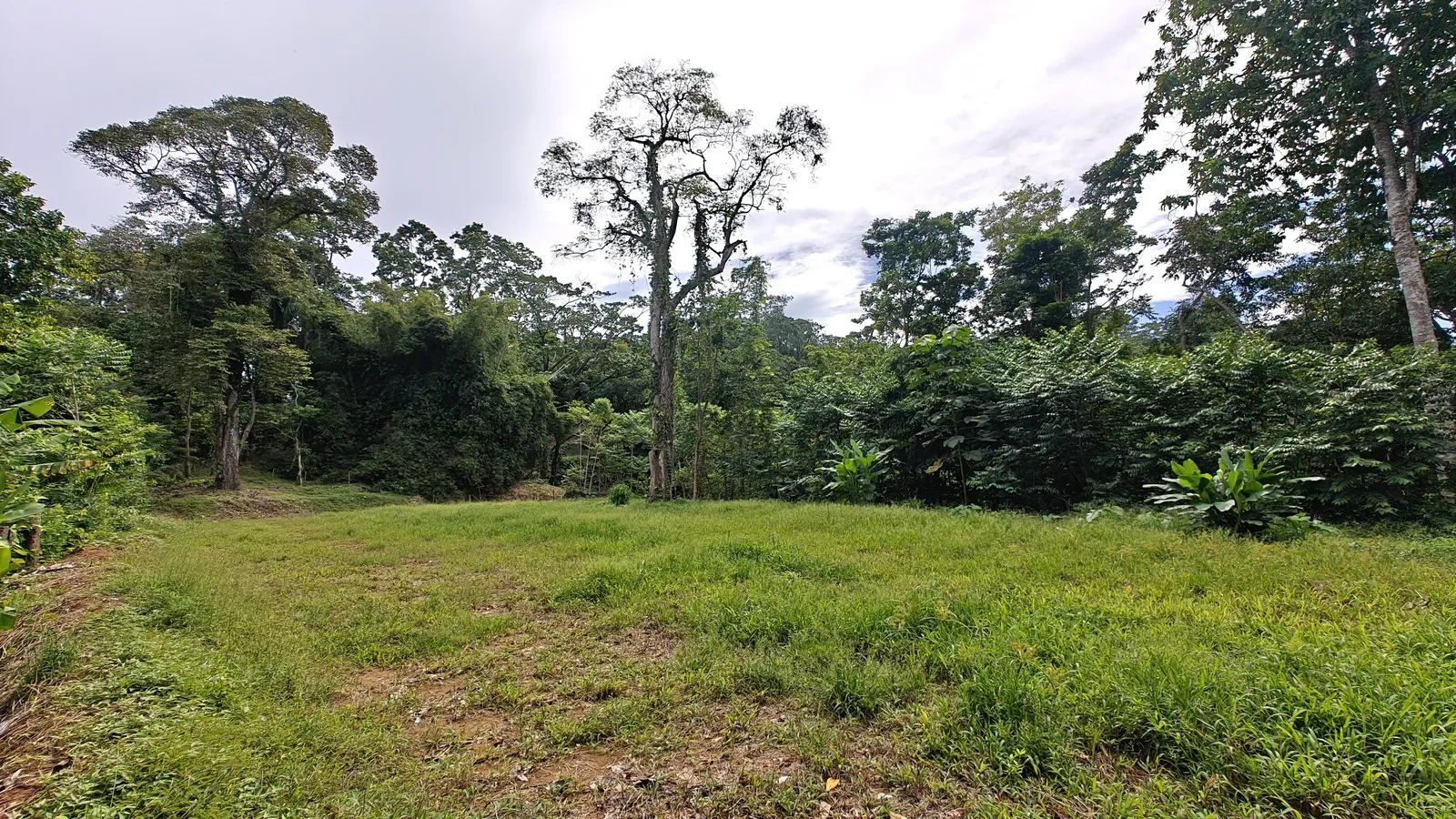 puerto-viejo-ocean-view-land (9).webp