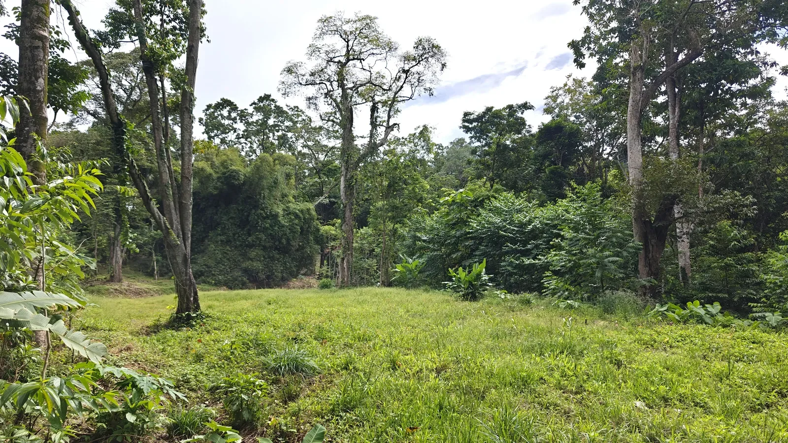 puerto-viejo-ocean-view-land (10).webp