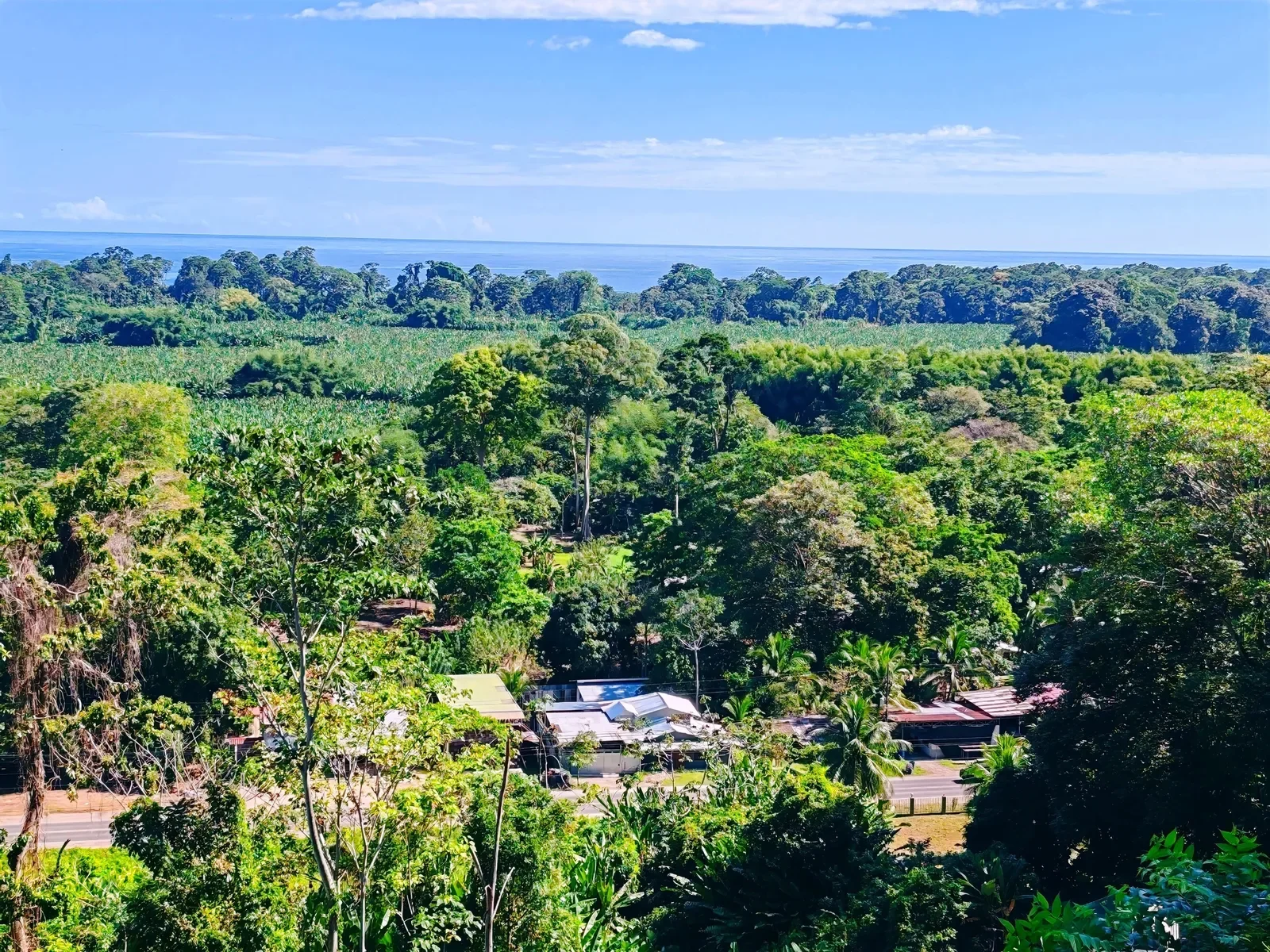 puerto-viejo-ocean-view-land-5000m2 (2).webp